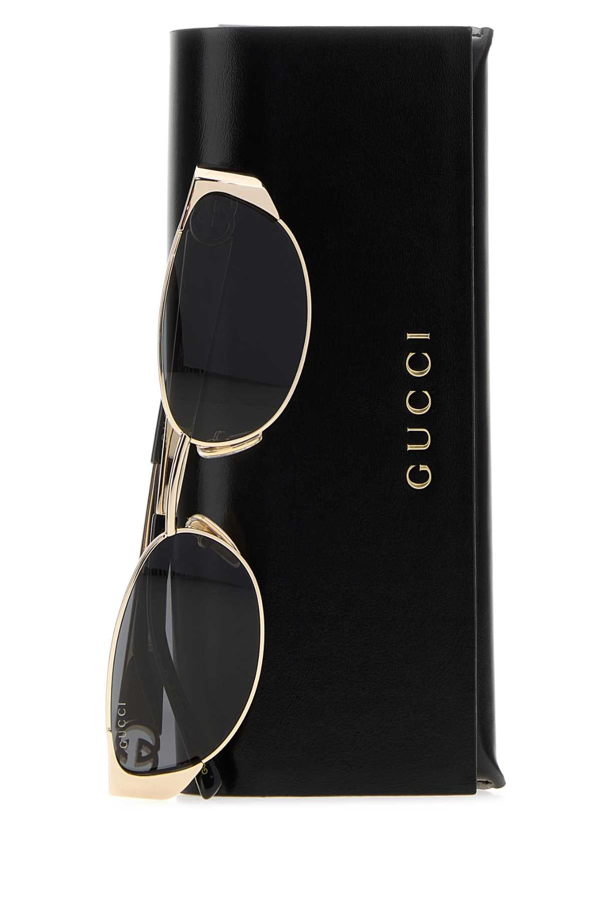 HAILEY_SUNGLASSES_A000PJI3330_8012_Image_3