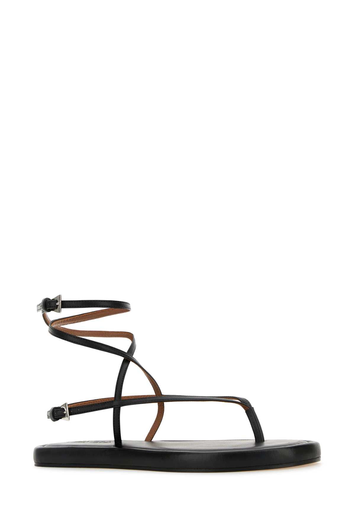 HYDRA_FLAT_SANDAL_PX1644XNPP3_BLACK_Image_2