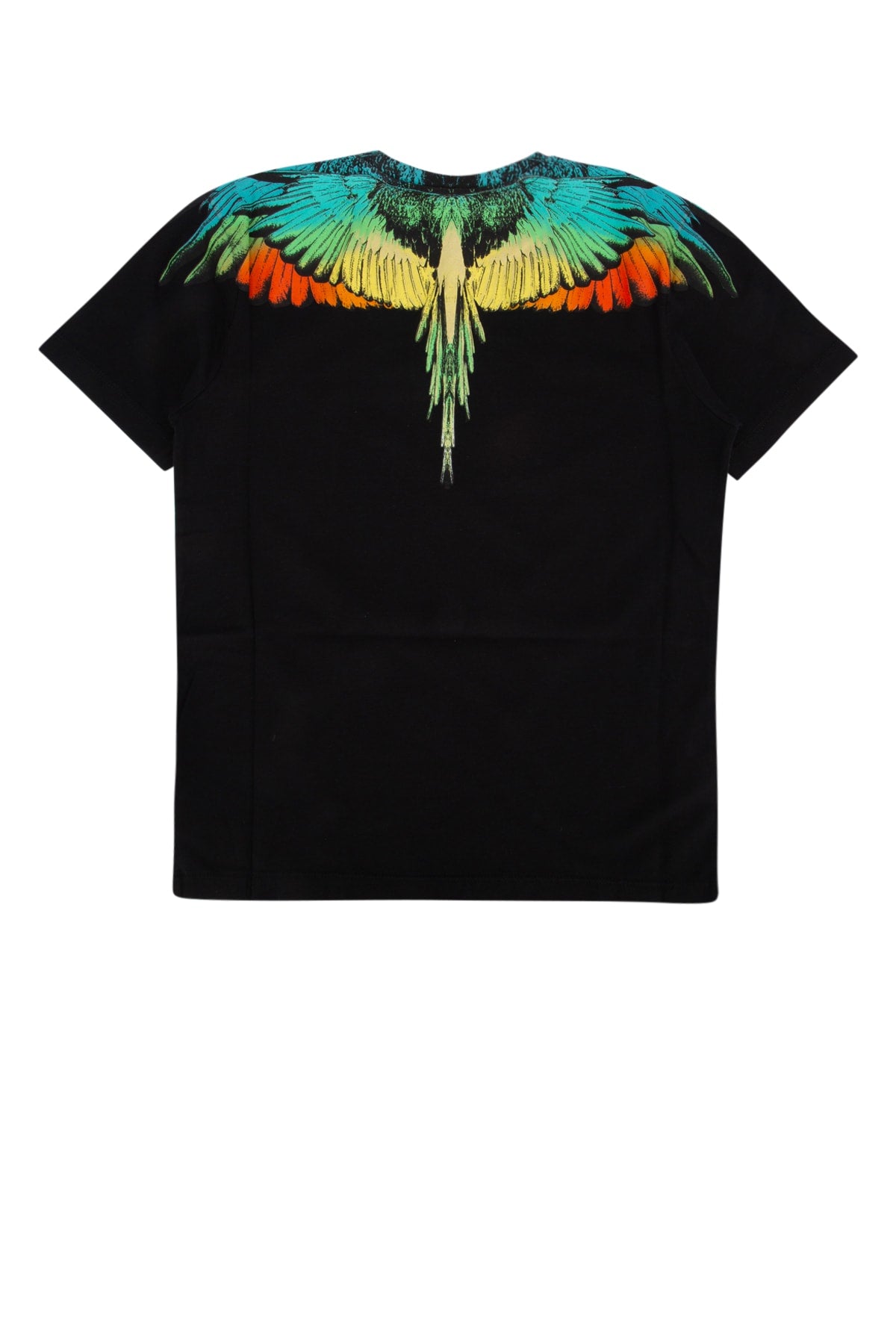 ICON_WINGS_REGULAR_T-SHIRT_BLACK_MULTICO_CBAA001F24JER001_1084_Image_2