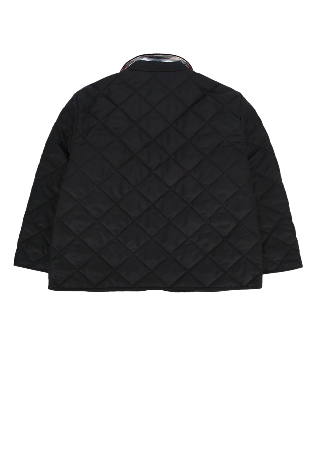 KB6_INDY_8092519_A1189_Image_2