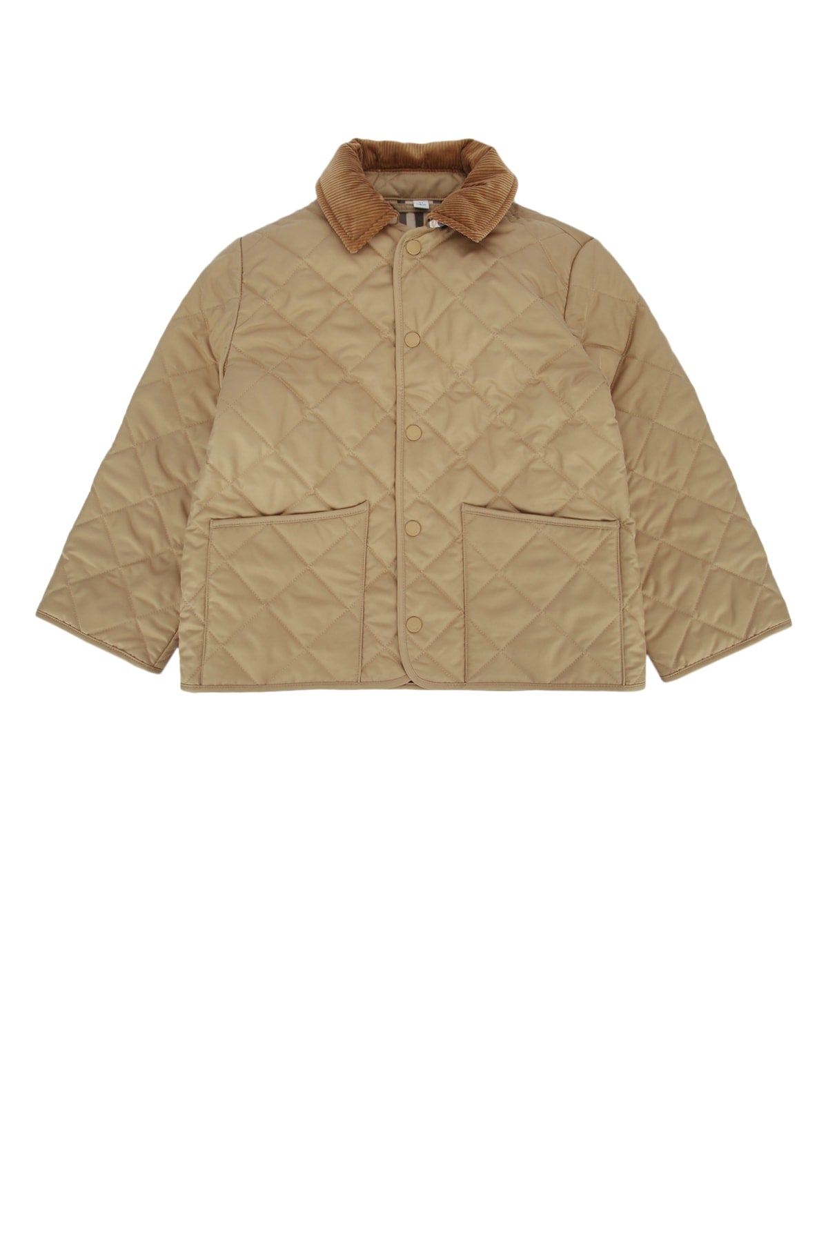 KG6_MILO_8108509_B9719_Image_1