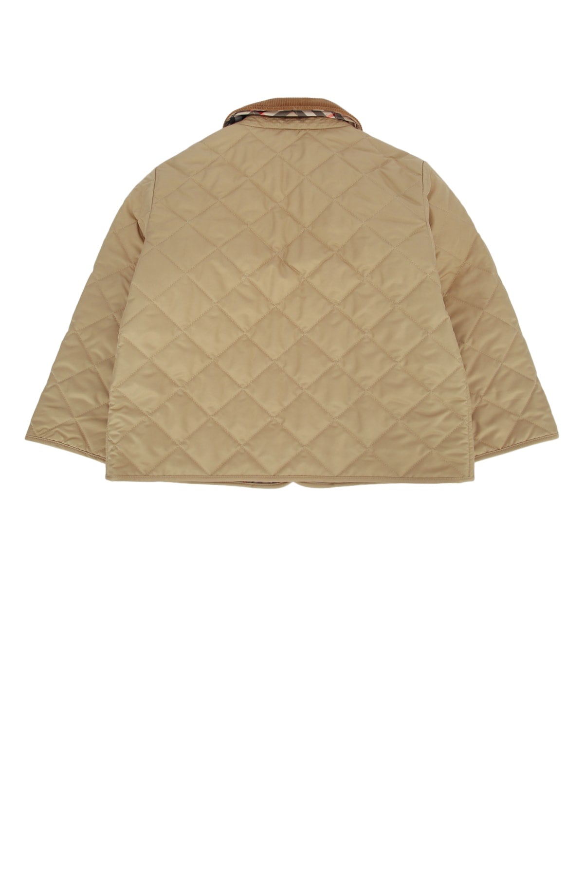 KG6_MILO_8108509_B9719_Image_2