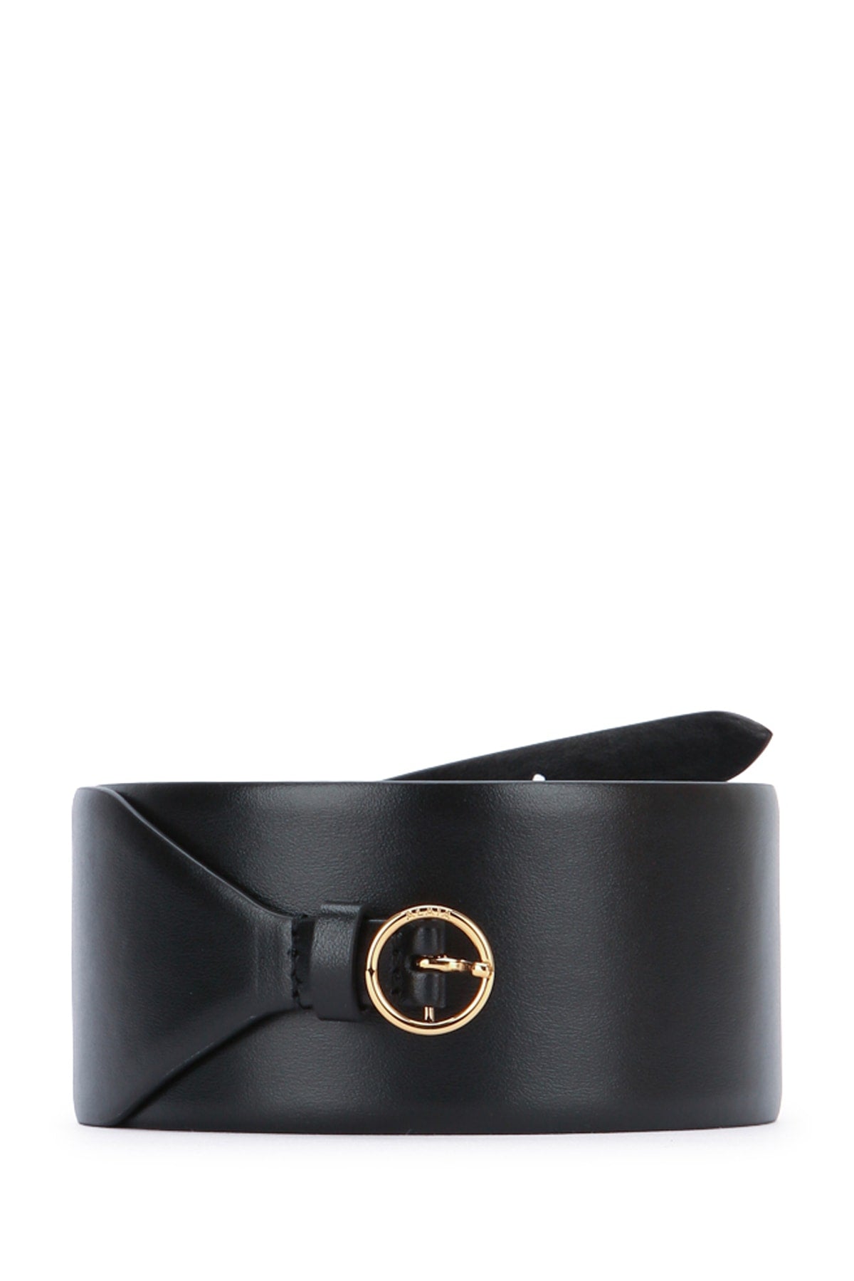 LARGE_BELT_AA1C331MCA332_999_Image_1