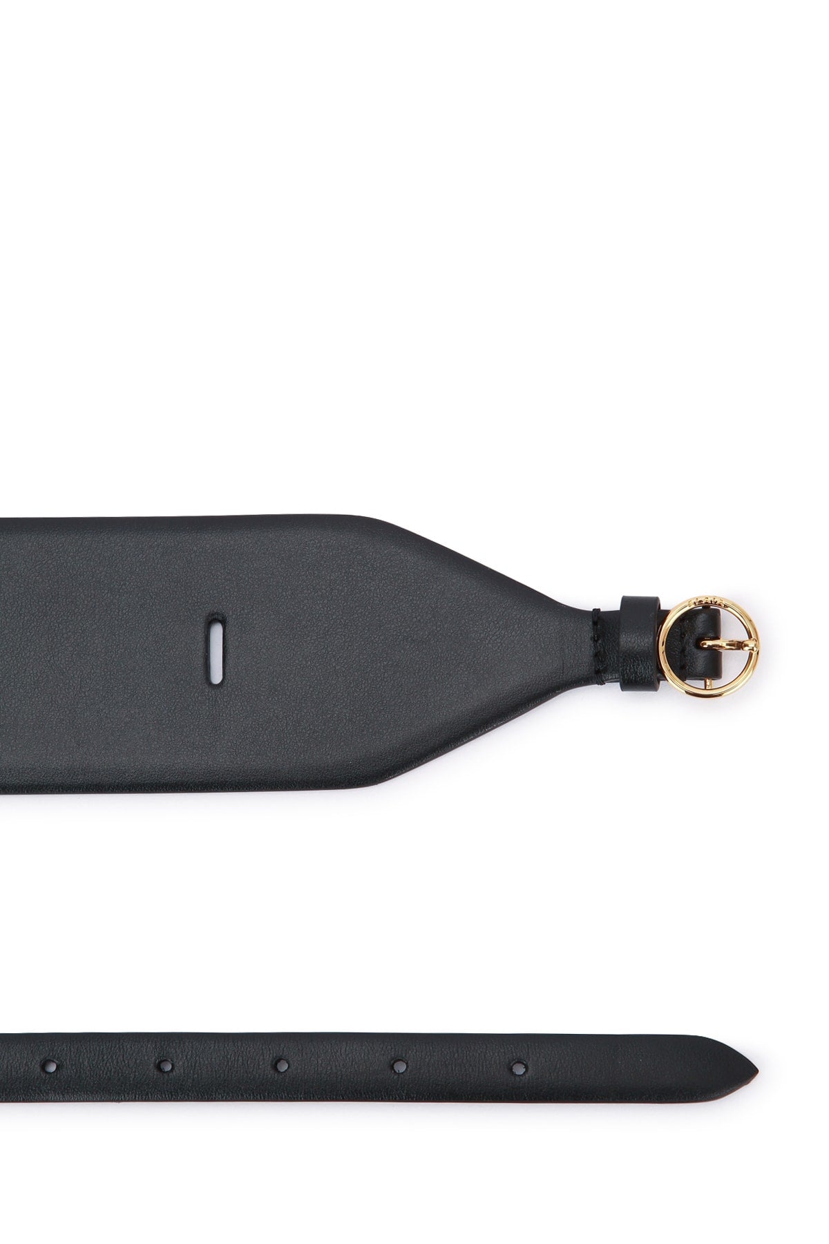 LARGE_BELT_AA1C331MCA332_999_Image_2