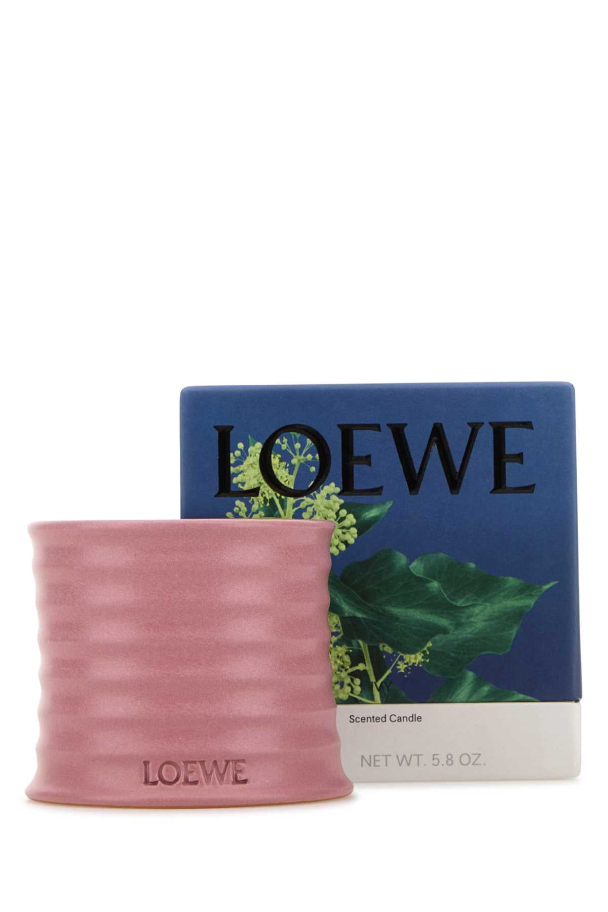 LOEWE_IVY_CANDLE_LW67706_000_Image_2