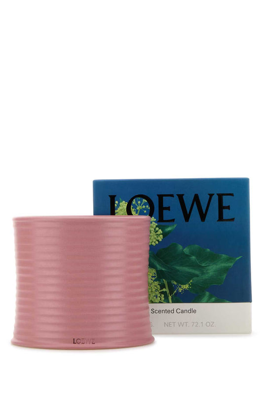 LOEWE_LARGE_IVY_CANDLE_LW67720_000_Image_2