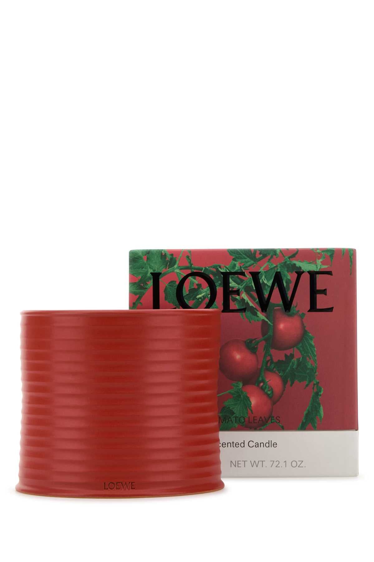 LOEWE_LARGE_TOMATO_LEAVES_CANDLE_LW67751_000_Image_2