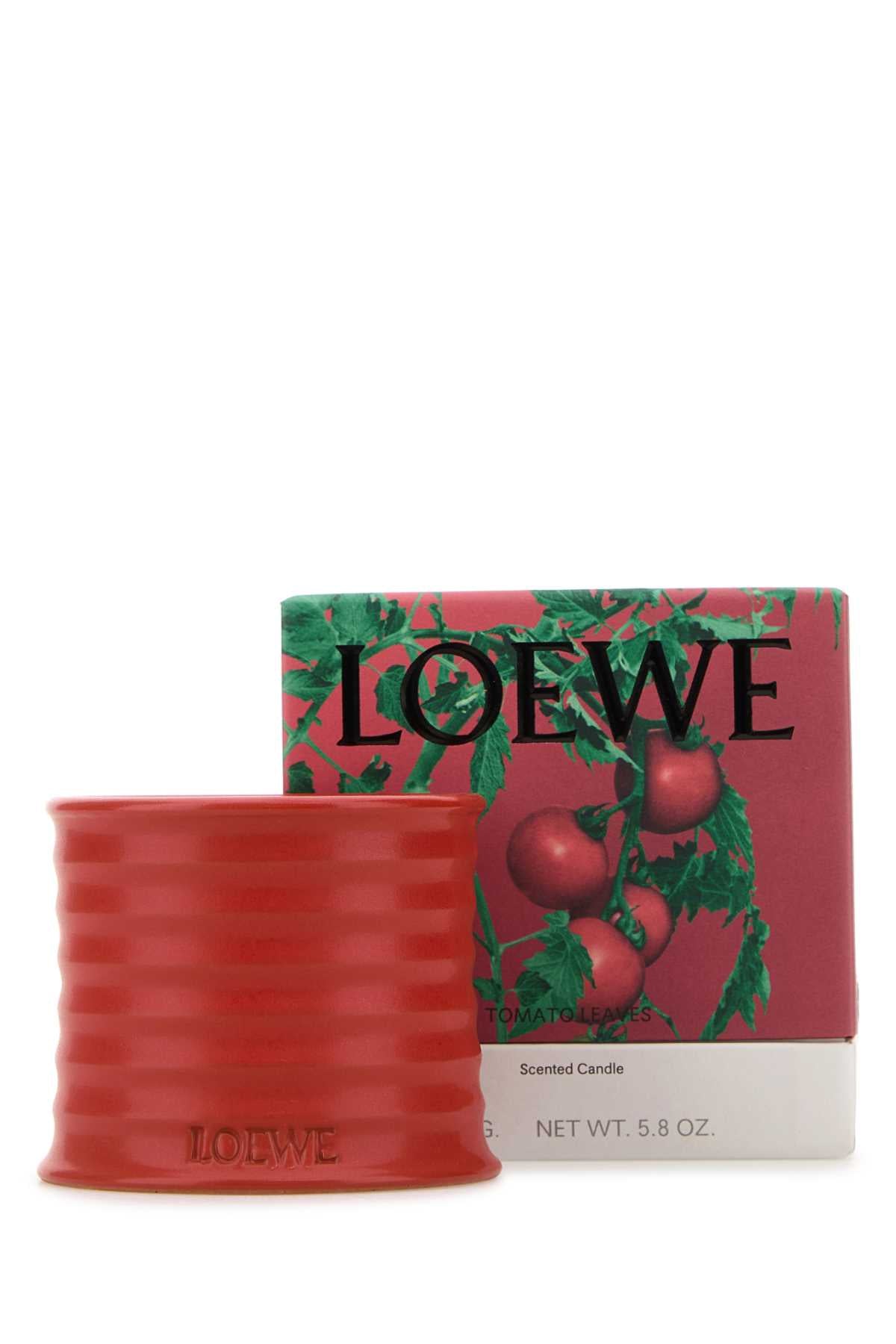 LOEWE_TOMATO_LEAVES_CANDLE_LW67737_000_Image_2