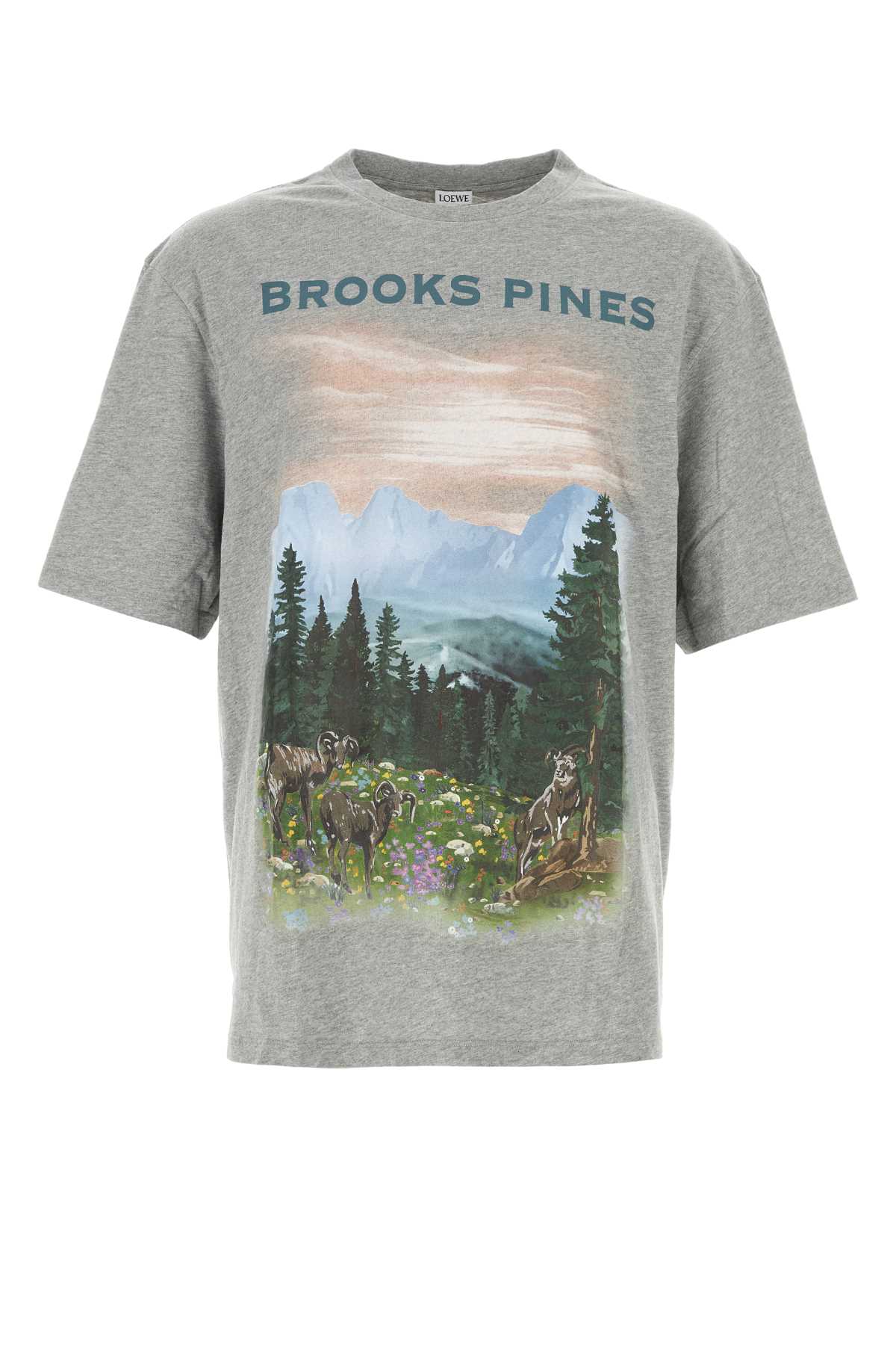 LOOSE_FIT_T-SHIRT_H526Y22XBB_GREYMELANGE_Image_1