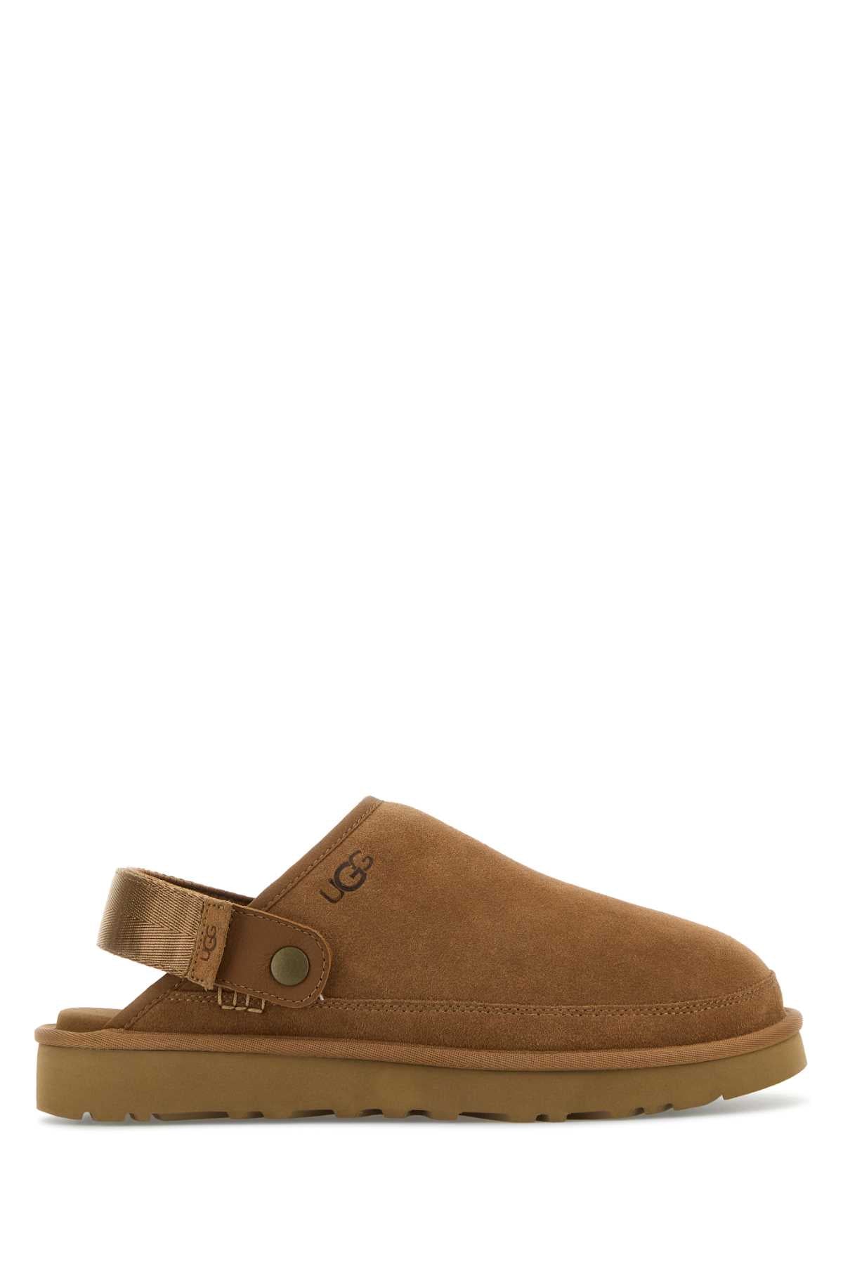 M_GOLDENCOAST_CLOG_II_1166915_CHE_Image_1