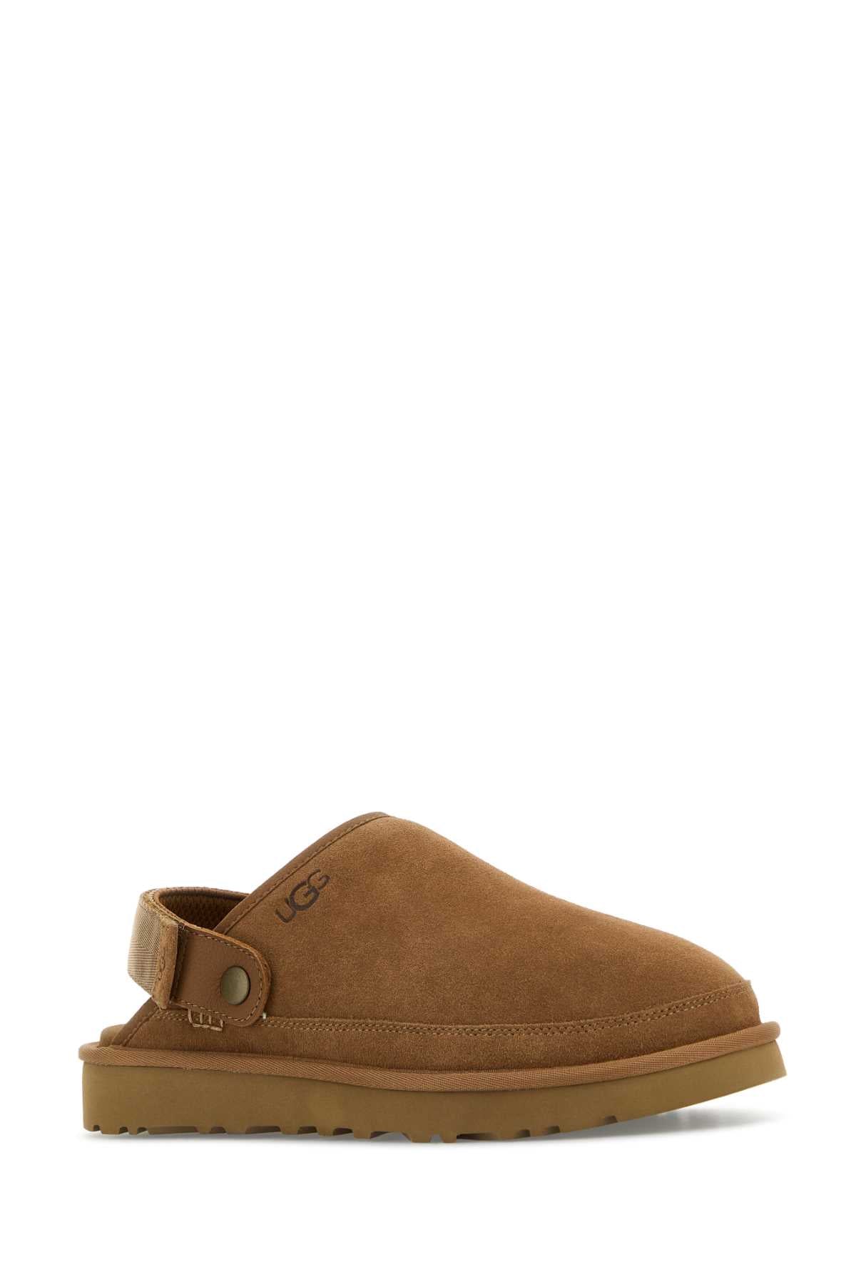 M_GOLDENCOAST_CLOG_II_1166915_CHE_Image_2