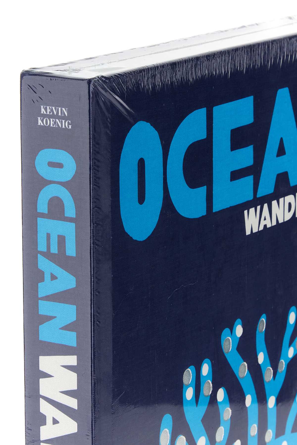 OCEAN_WANDERLUST_9781649802644_000_Image_3