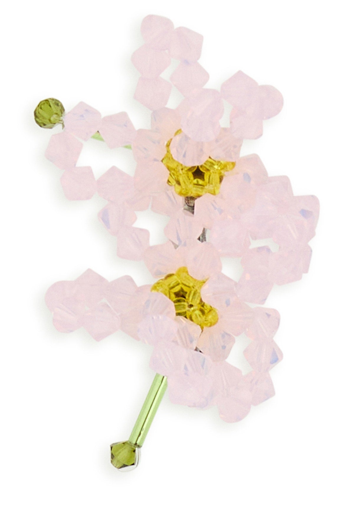 ORECCHINI_ASTERCHINENSIS_MULTI_Image_1