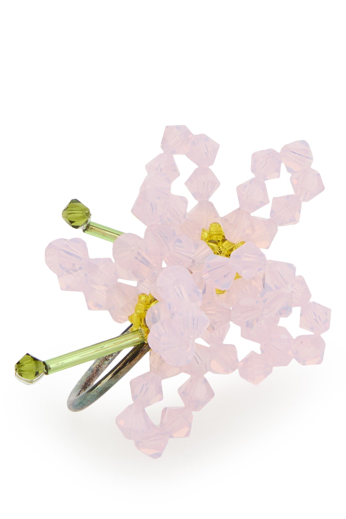 ORECCHINI_ASTERCHINENSIS_MULTI_Image_2