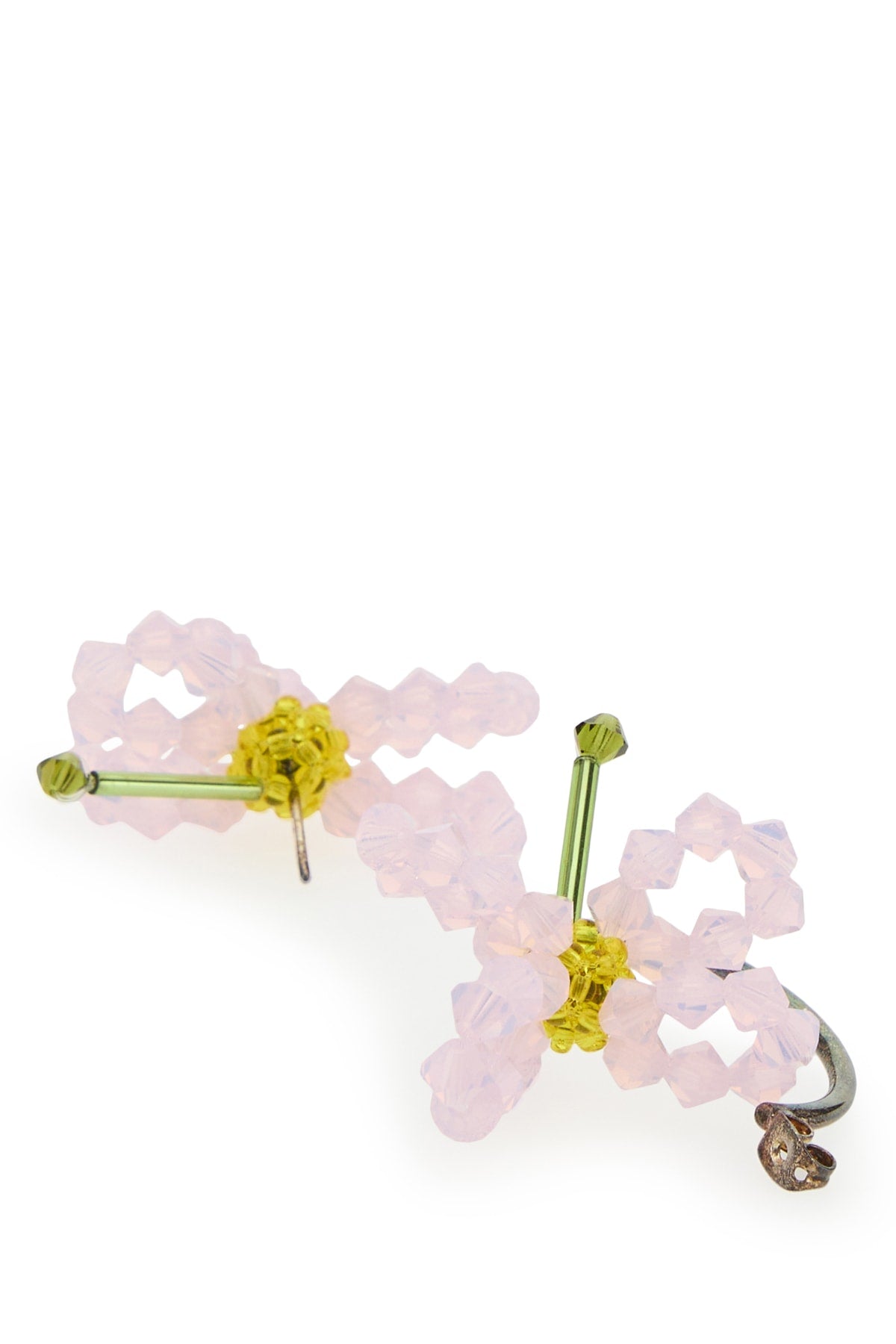 ORECCHINI_ASTERCHINENSIS_MULTI_Image_3