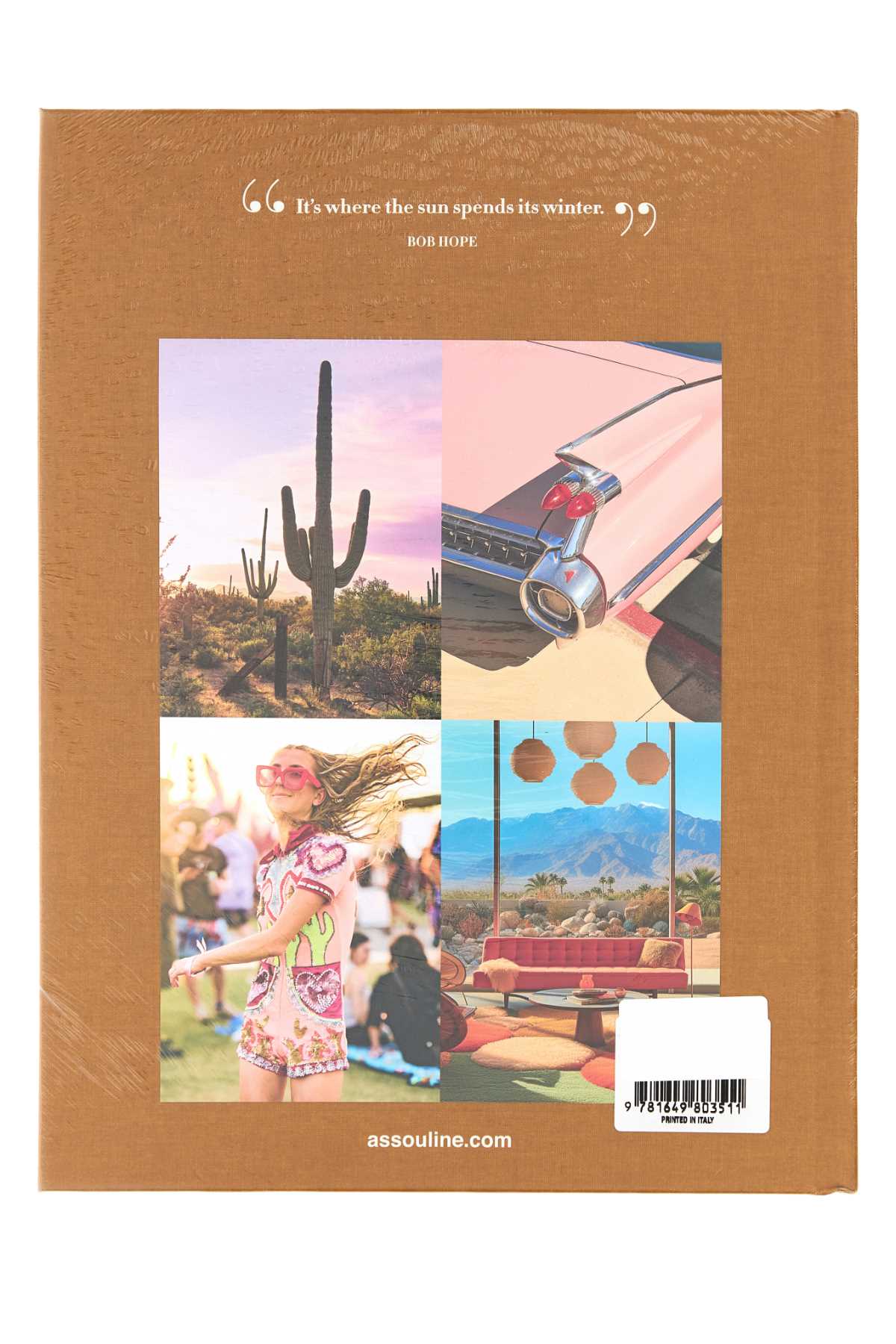 PALMSPRING_9781649803511_000_Image_2