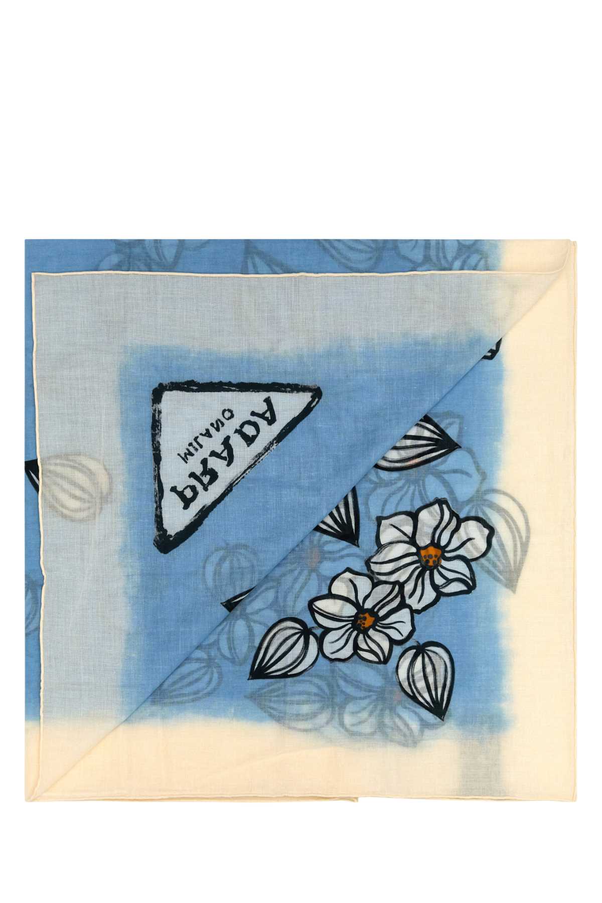 PAREO_1FF0272COB_F0076_Image_2