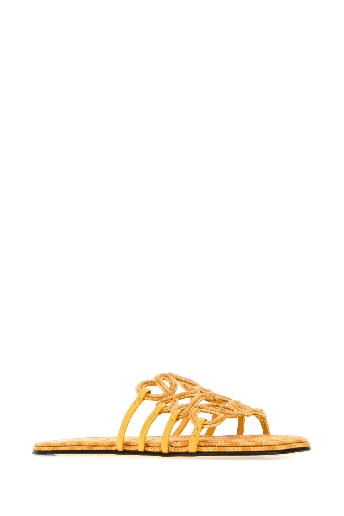 PETAL_ANAGRAM_SLIDE_EMBOIDERY_LPEA465X11_GOLDENYELLOW_Image_2