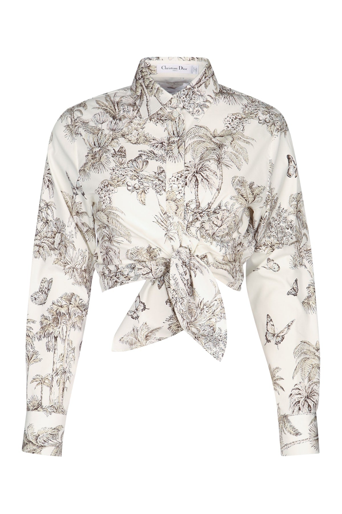 POPELINE_CO_SE_TDJ_PALMES_AO_541B64A3A91_0810_Image_1