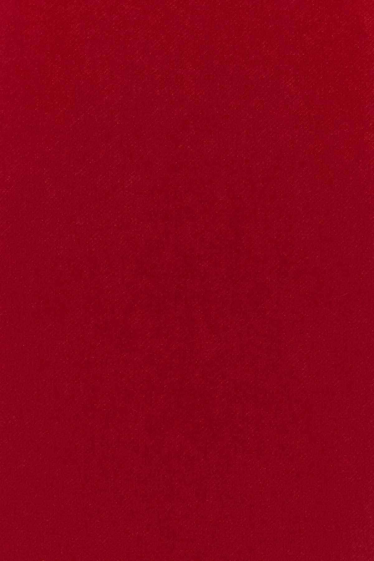 QUOTA-WOOLSCARFWITHAMIDECOEUREMBROIDERY_USF677AW0047_A186_Image_3