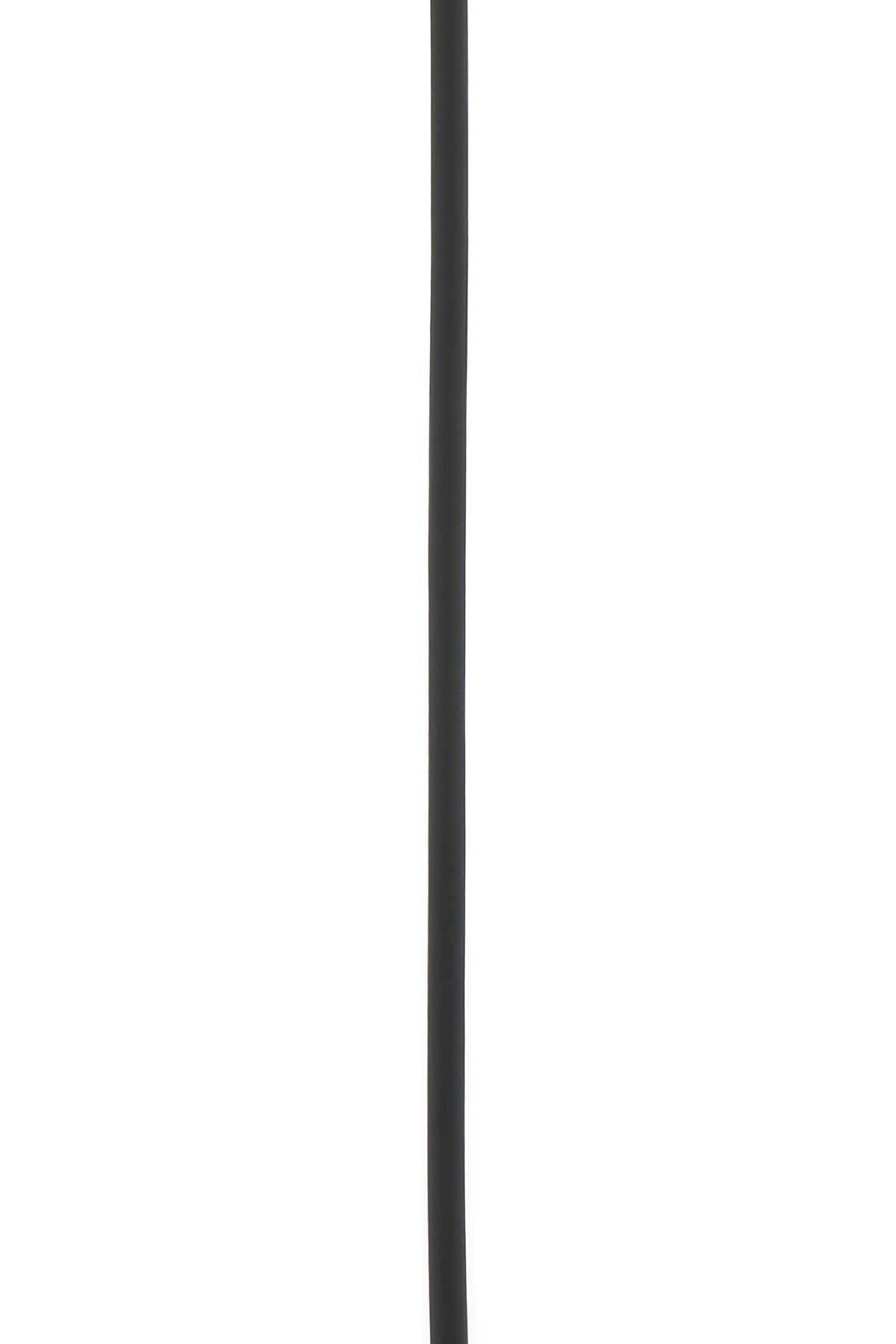 REVERSIBLE_ANAGRAM_BELT_08CM_E619244X19_BLACKTANPALLADIUM_Image_3