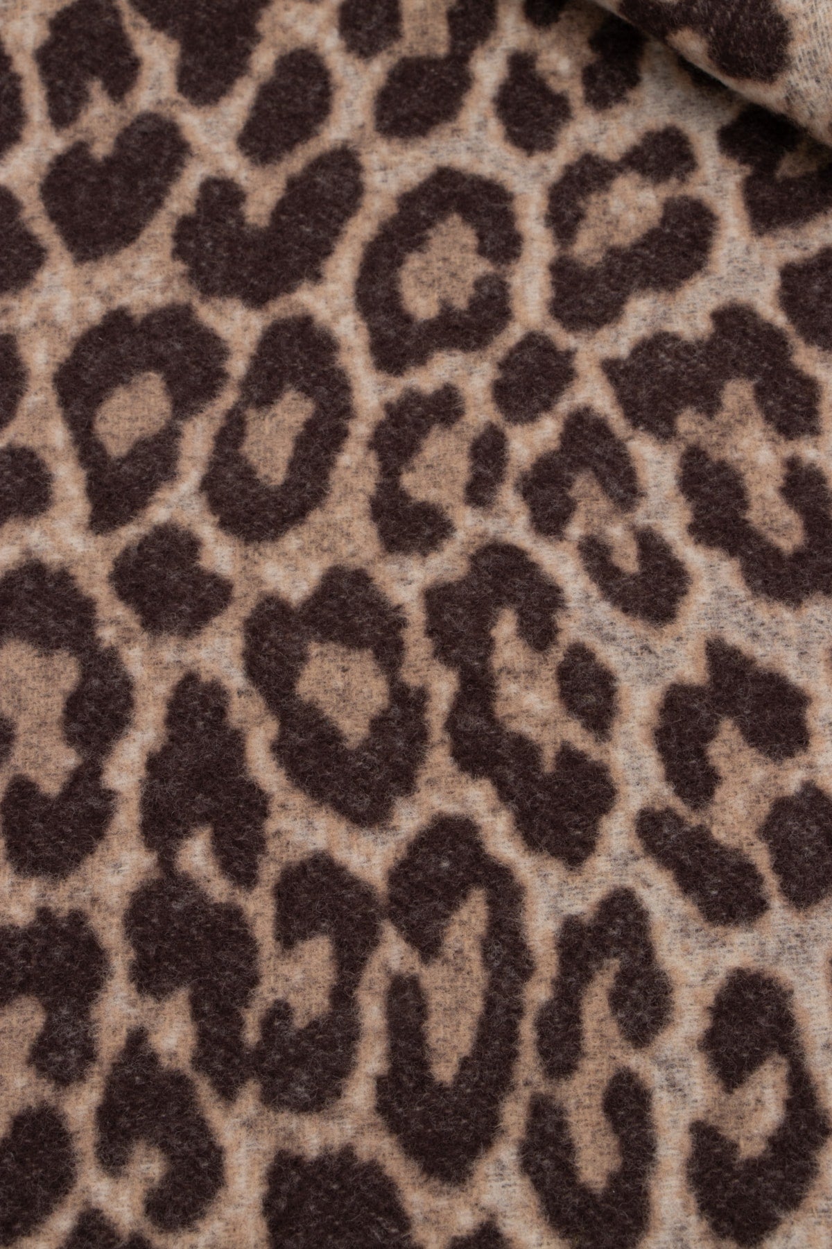 SCIARPA_14LEO350I104_180_Image_3