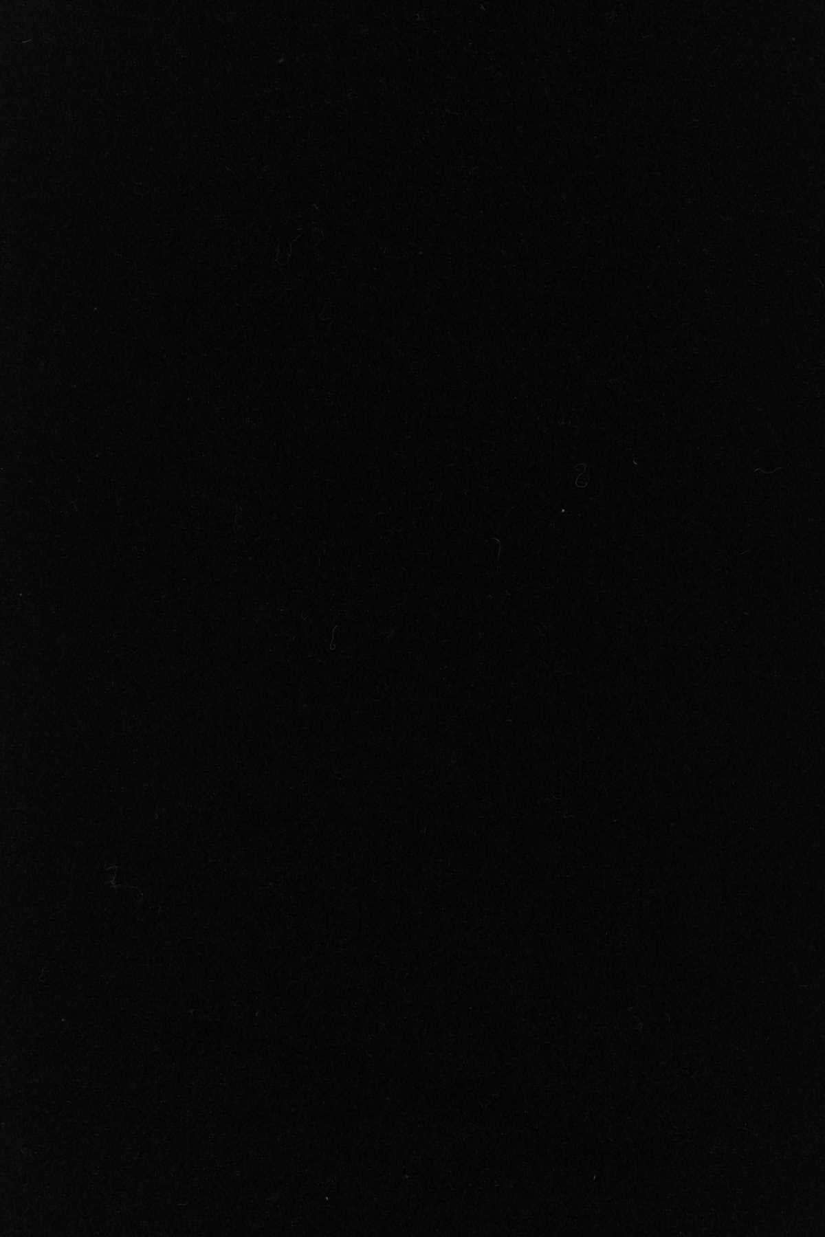 SCIARPA_BFUSF405334_001_Image_3