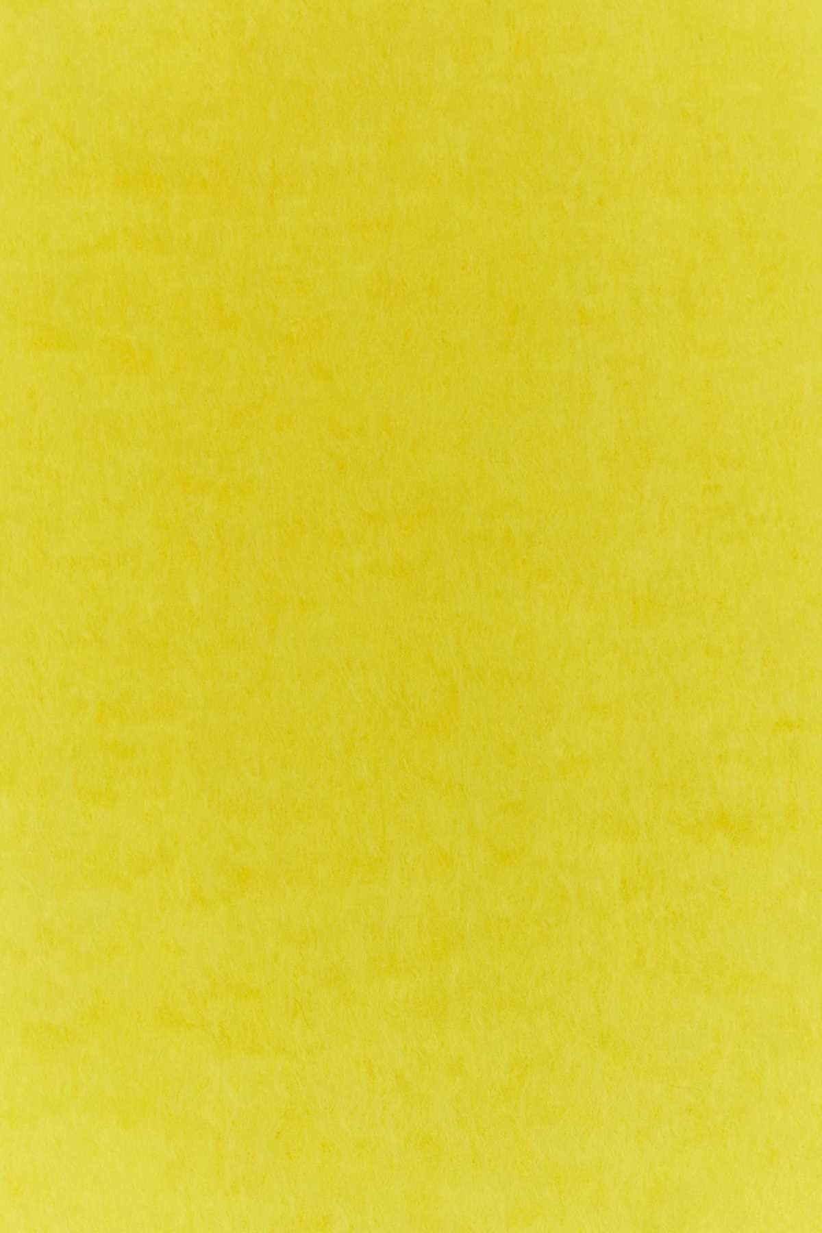 SCIARPA_F655254X01_YELLOW_Image_3