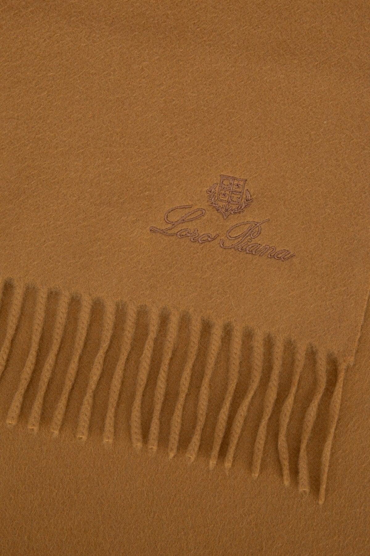 SCIARPA_FAO3774_E008_Image_2