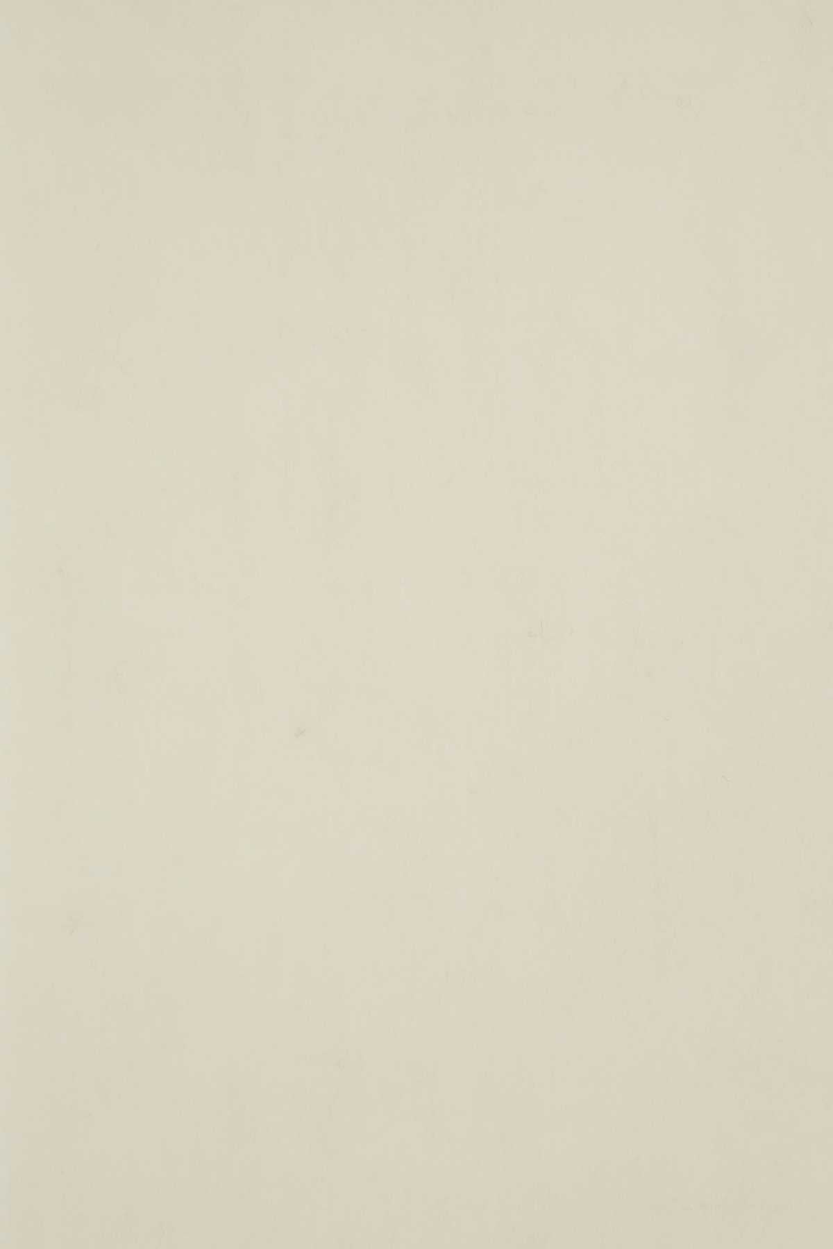SCIARPA_JU06241WA0007_P700_Image_3