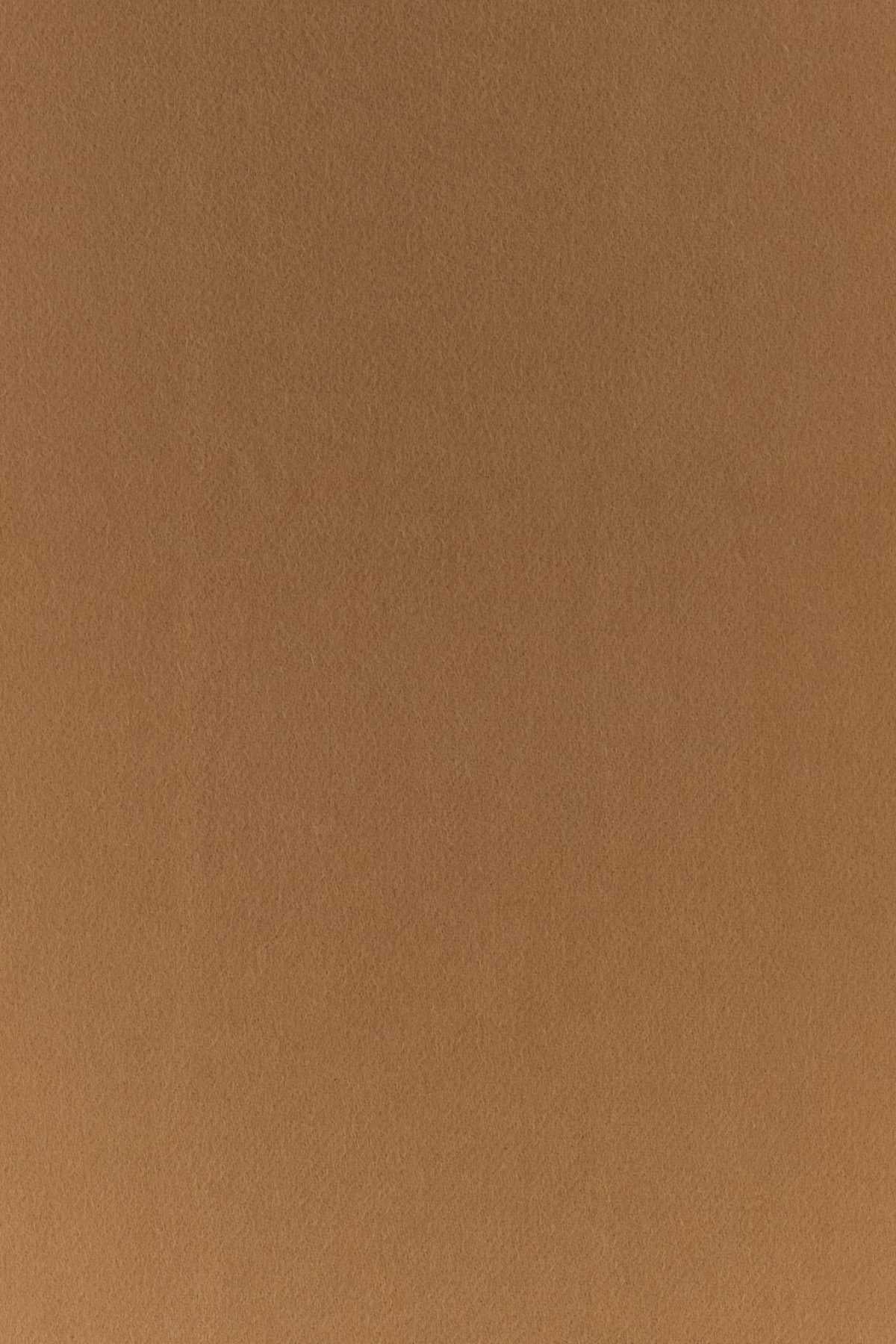 SCIARPE_1FS0552COO_F045Y_Image_3