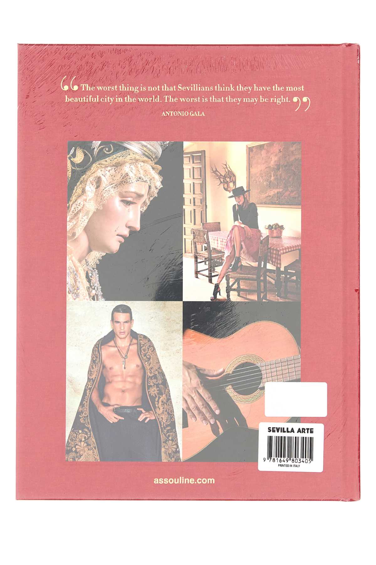 SEVILLA_ARTE_9781649803405_000_Image_2