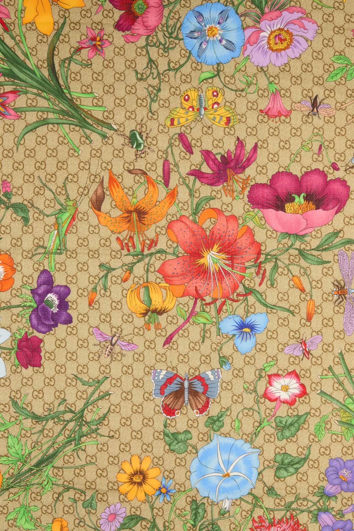 SHAWLS_8737293GA38_9965_Image_3