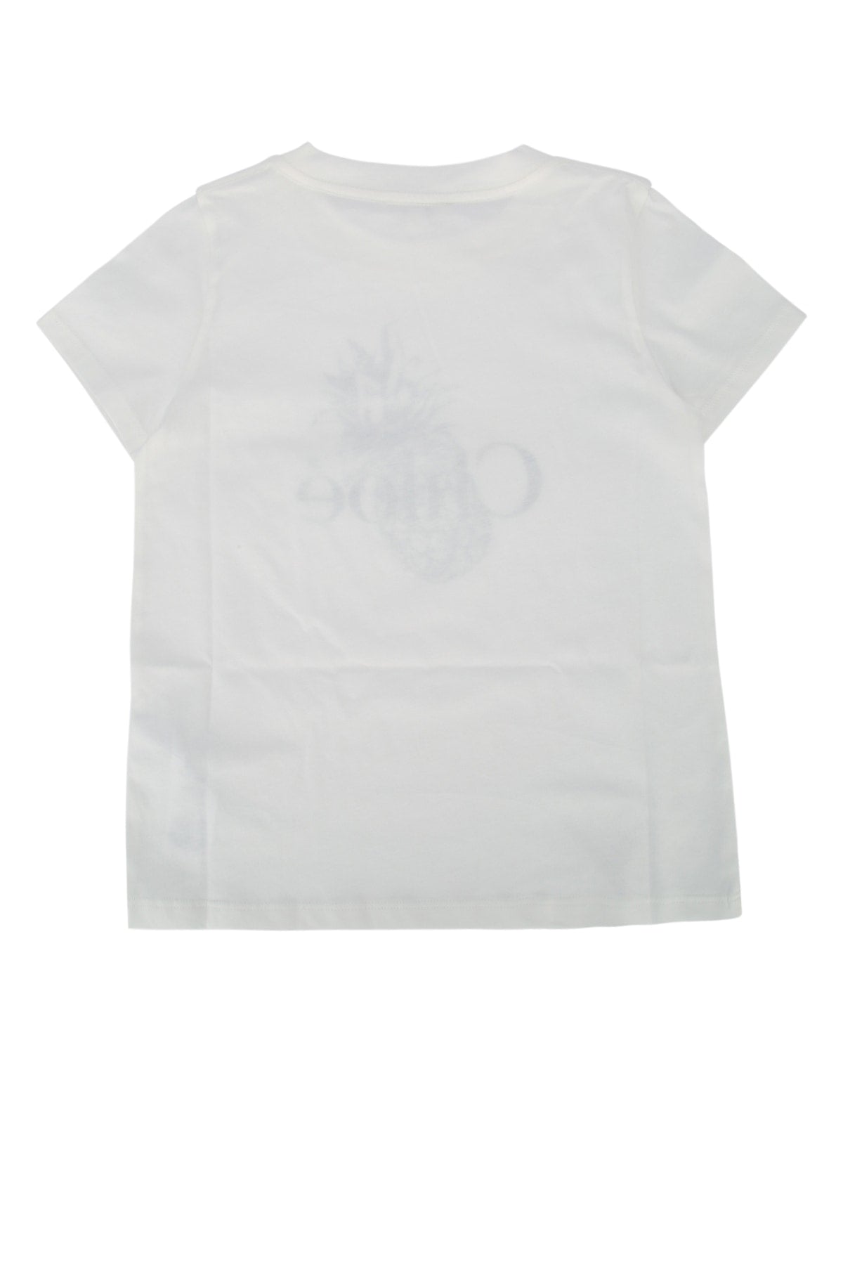 SHORT_SLEEVES_TEE-SHIRT_C20855_117_Image_2