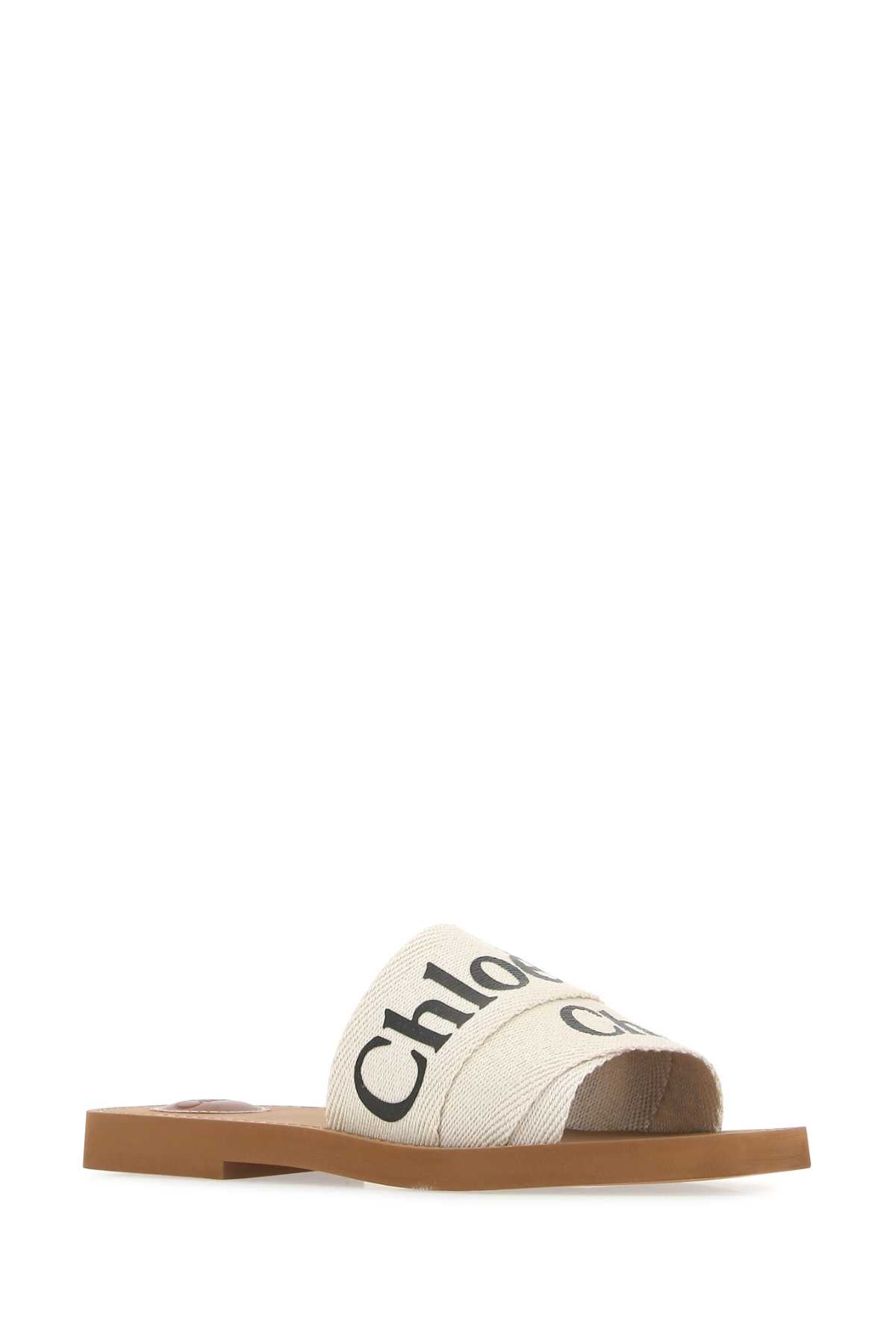 SLIPPERS_CHC22U188Z3_101_Image_2