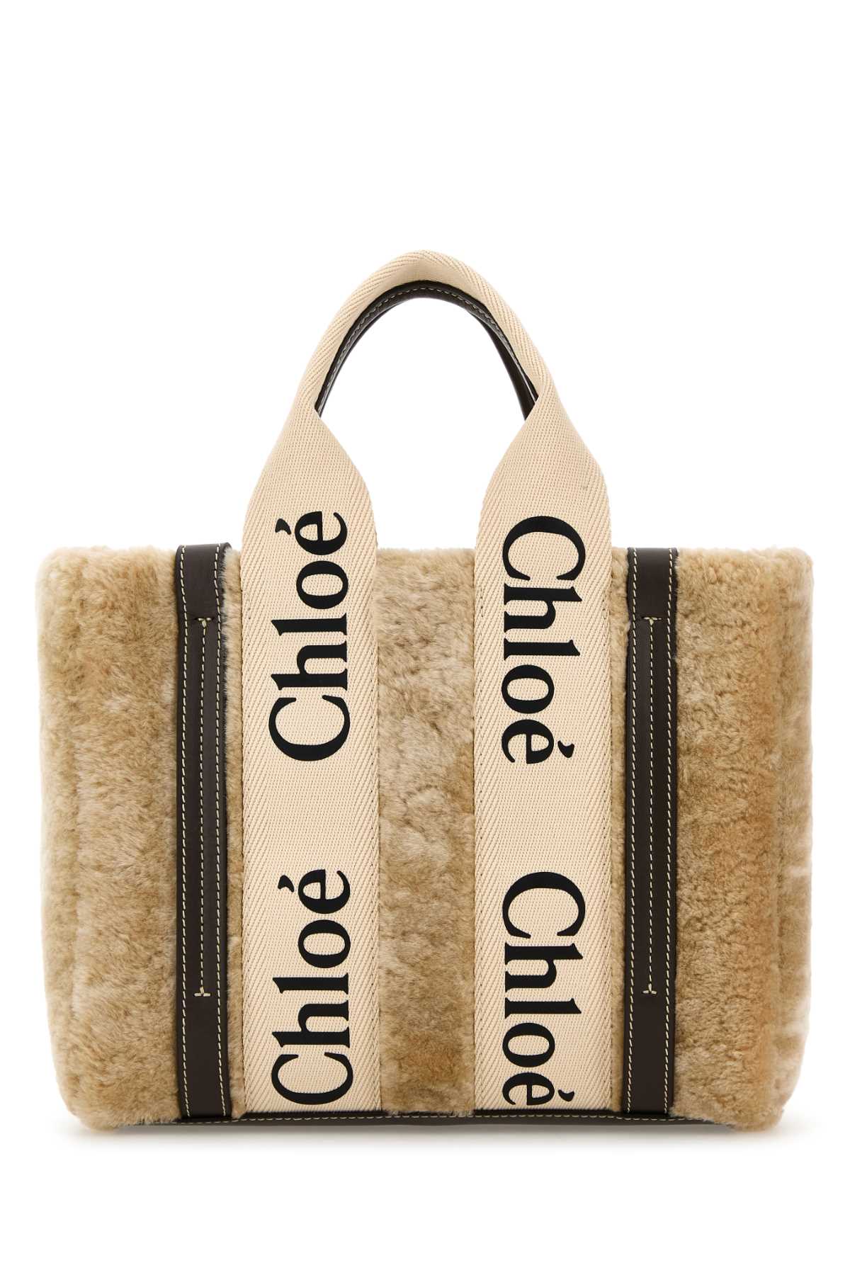 SMALL_WOODY_BAG_CH25WS397Q44_24M_Image_3