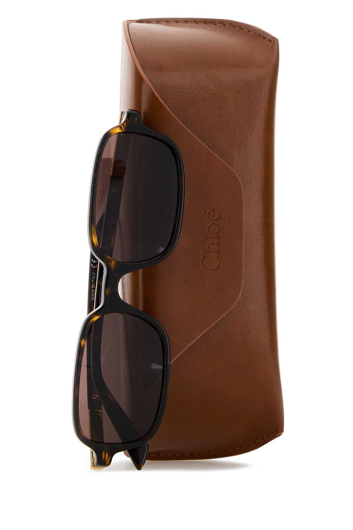 SUNGLASSES_CH0363S002_53_Image_3