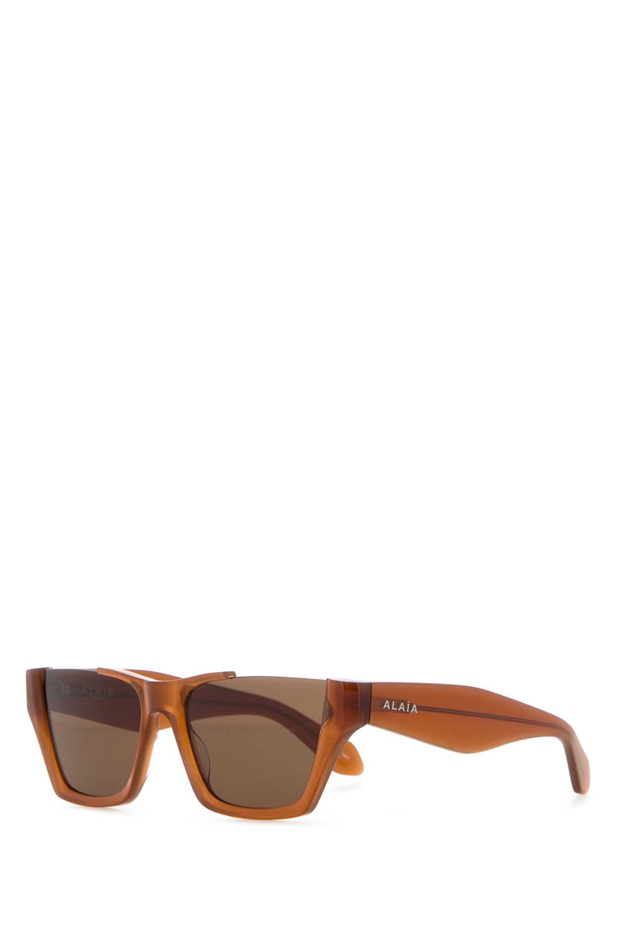 SUNGLASS_AA0081S007_058_Image_1