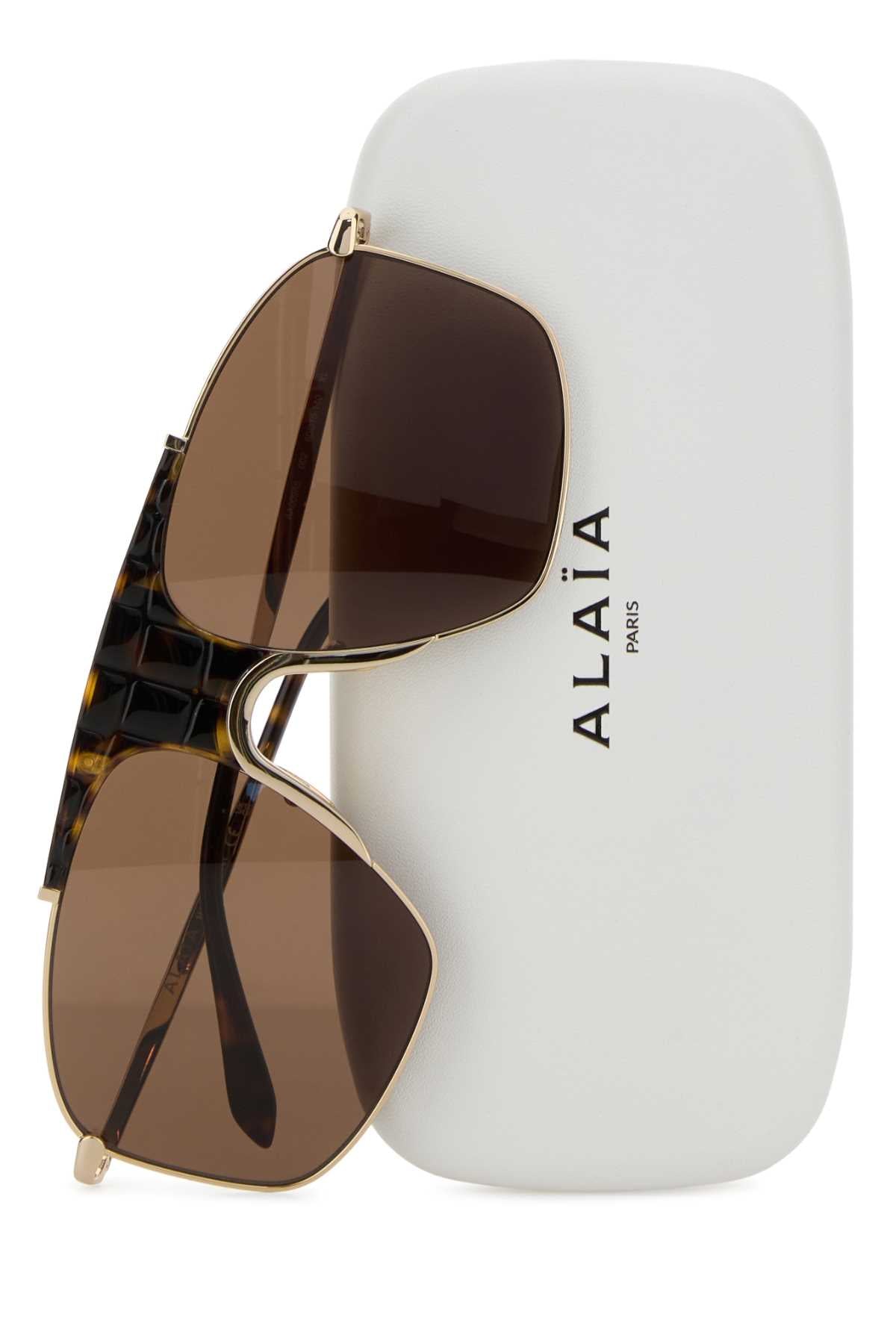SUNGLASS_AA0098S002_060_Image_3