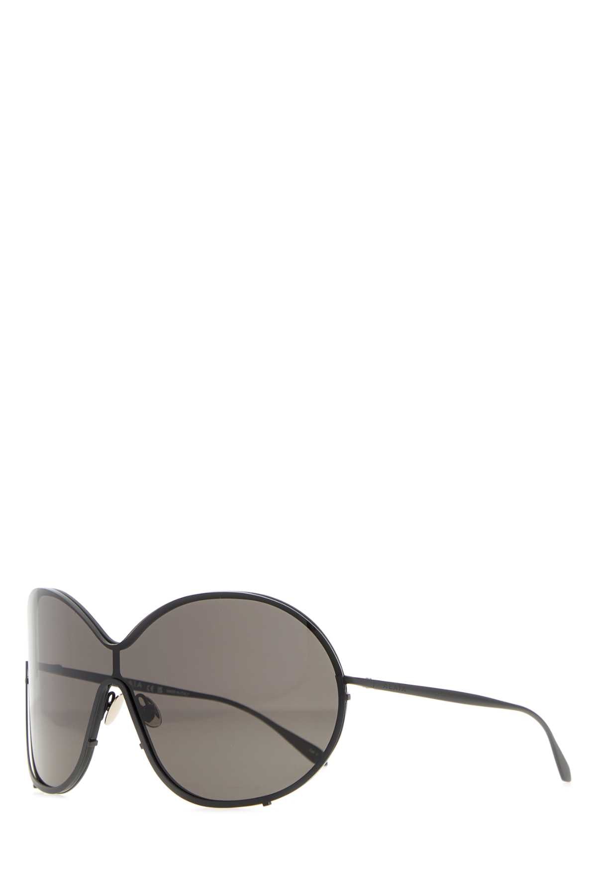 SUNGLASS_AA0100S001_099_Image_1