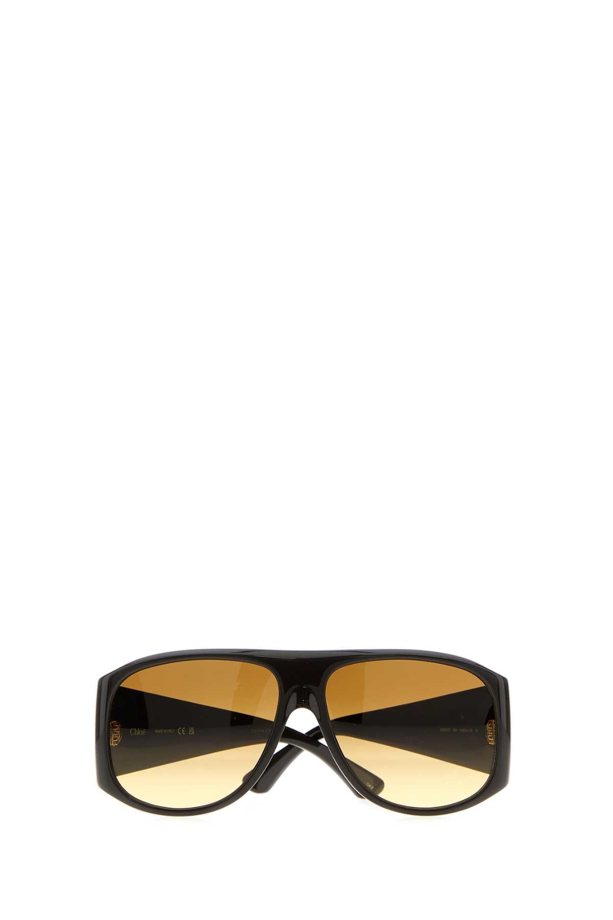 SUNGLASS_W_CH0347S001_60_Image_2