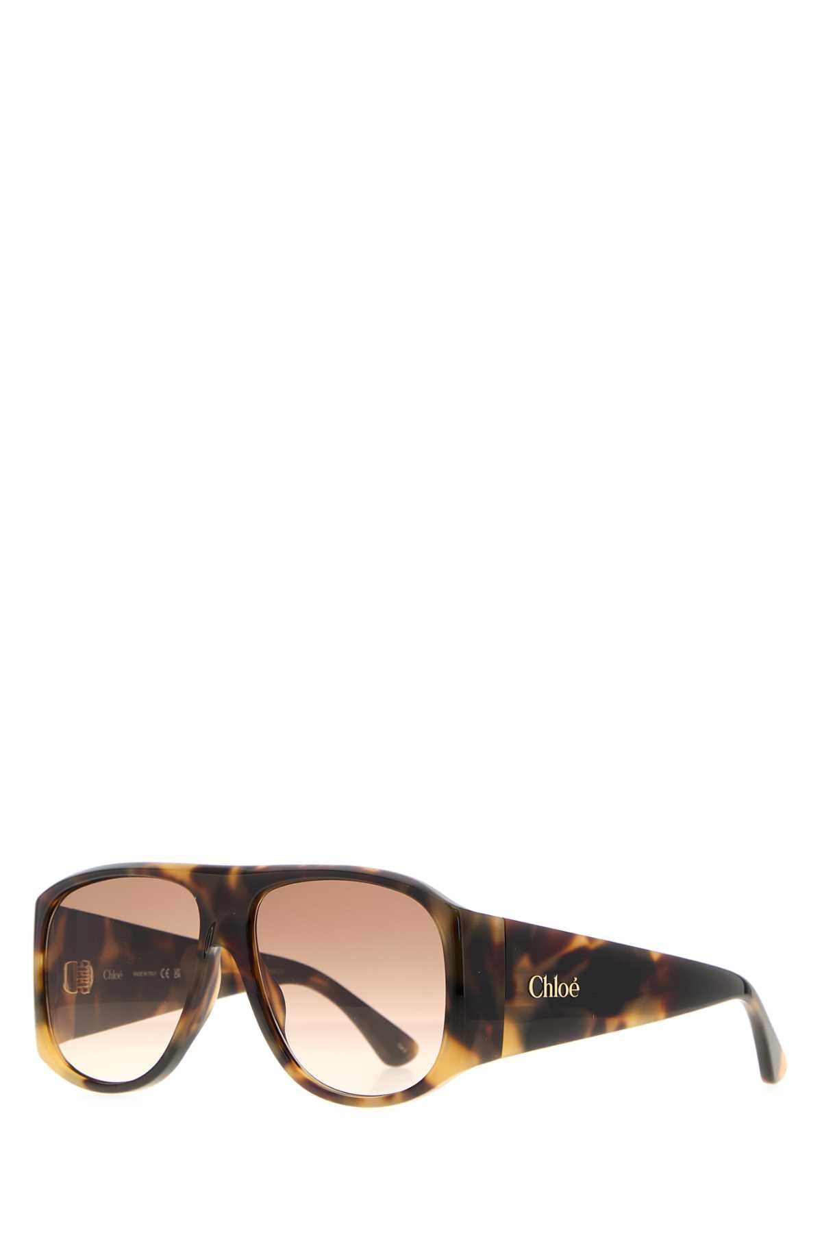 SUNGLASS_W_CH0347S005_60_Image_1