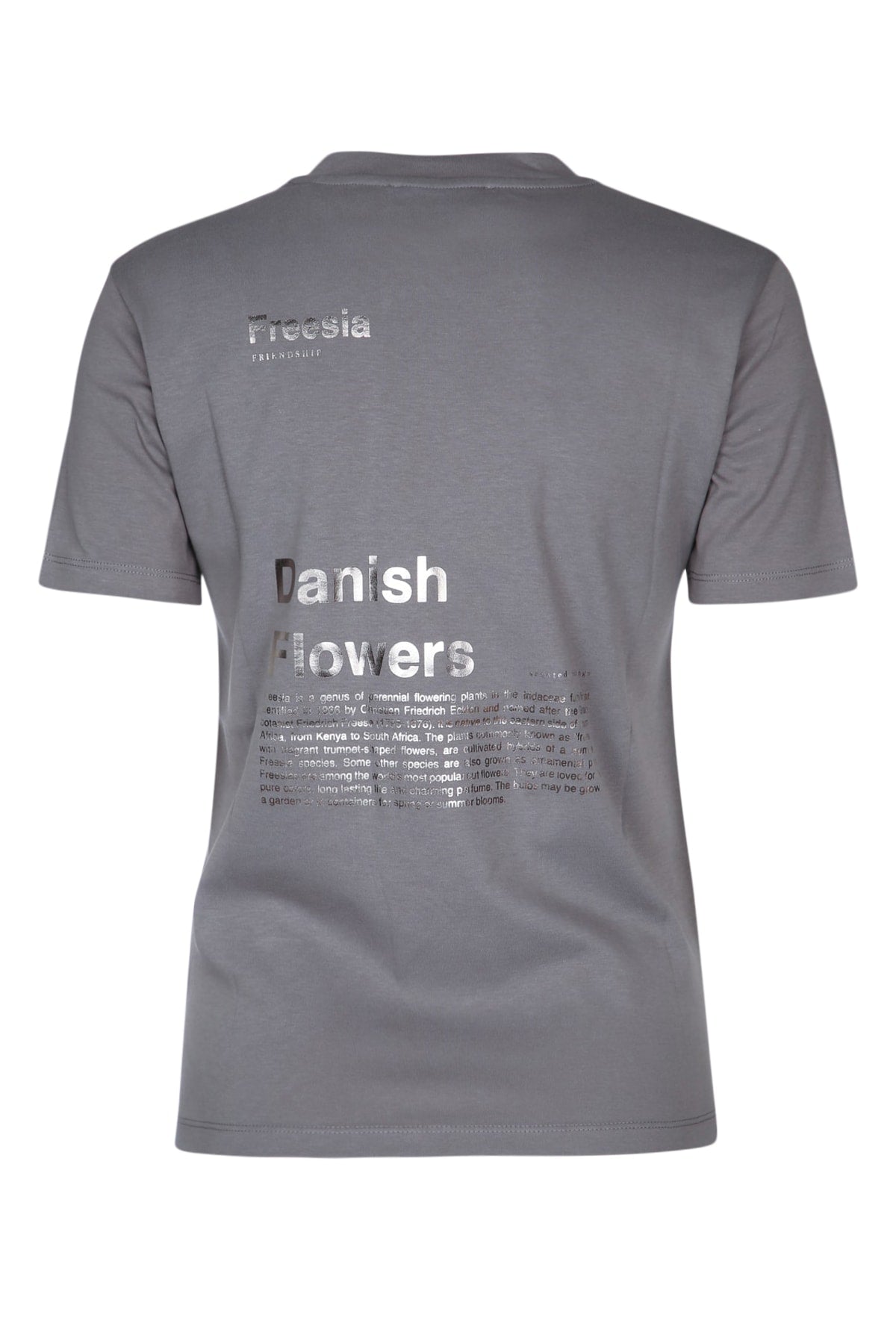 T-SHIRT_QUIETO_2419971011600_012_Image_2