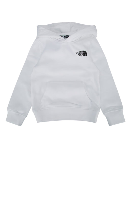 TEEN_BOX_NSE_REGULAR_PULLOVER_HOODIE_NF0A89H9_LA91_Image_1