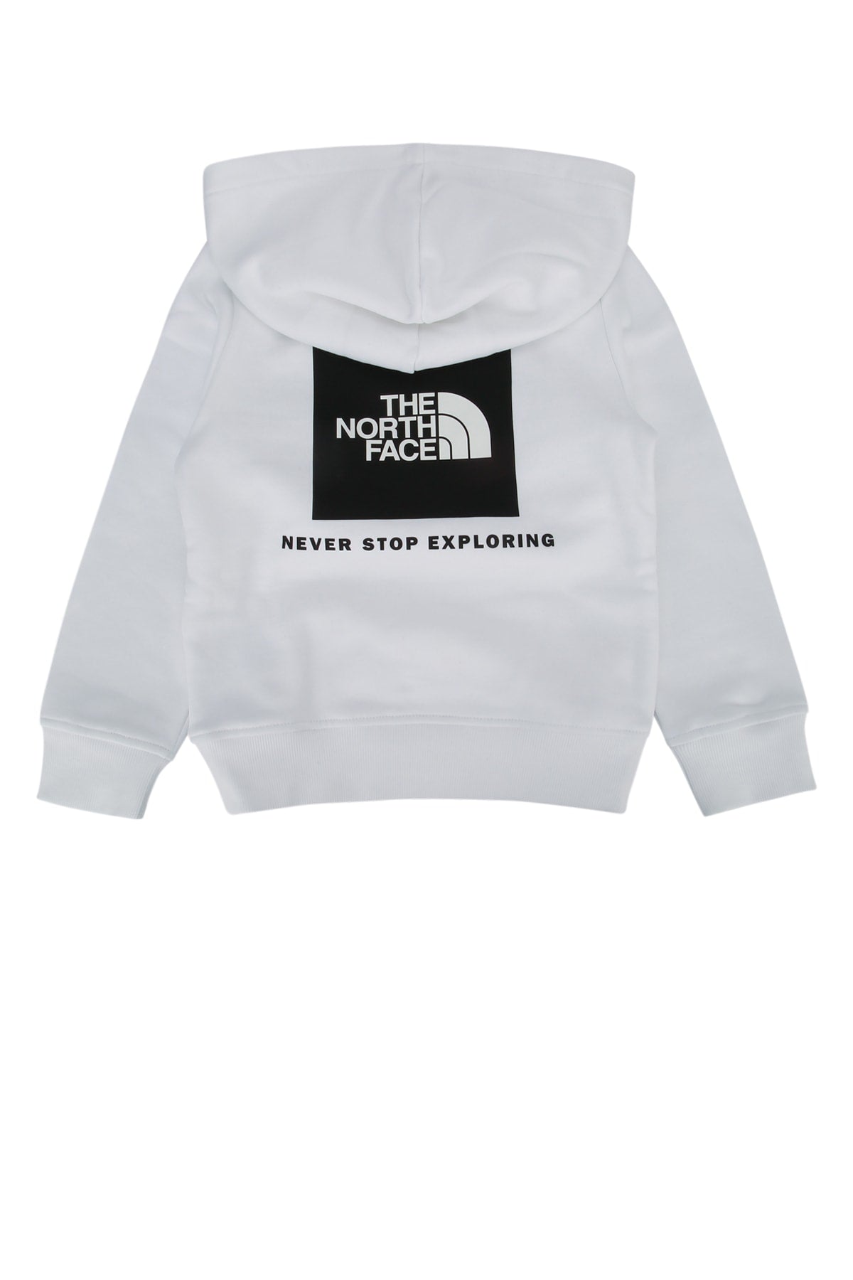 TEEN_BOX_NSE_REGULAR_PULLOVER_HOODIE_NF0A89H9_LA91_Image_2