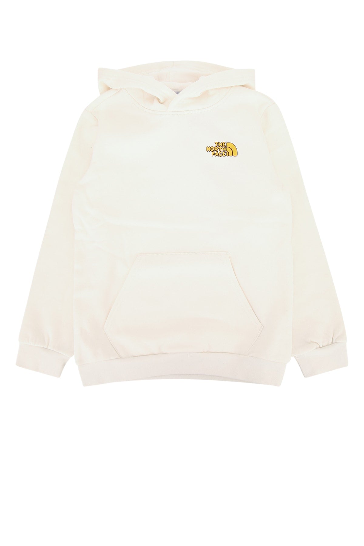 TEEN_B_OUTDOOR_REGULAR_HOODIE_-_GRAPHIC_NF0A8JGZ_QLI1_Image_1