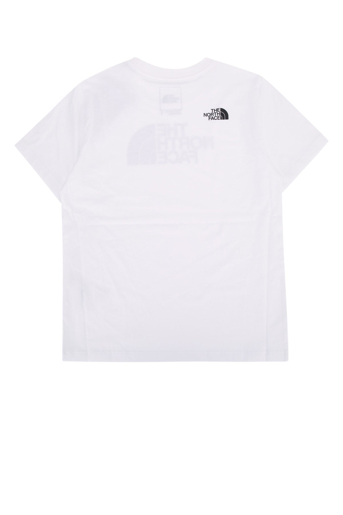 TEEN_EVOLUTION_HALF_DOME_SS_TEE_NF0A8CZ8_FN41_Image_2