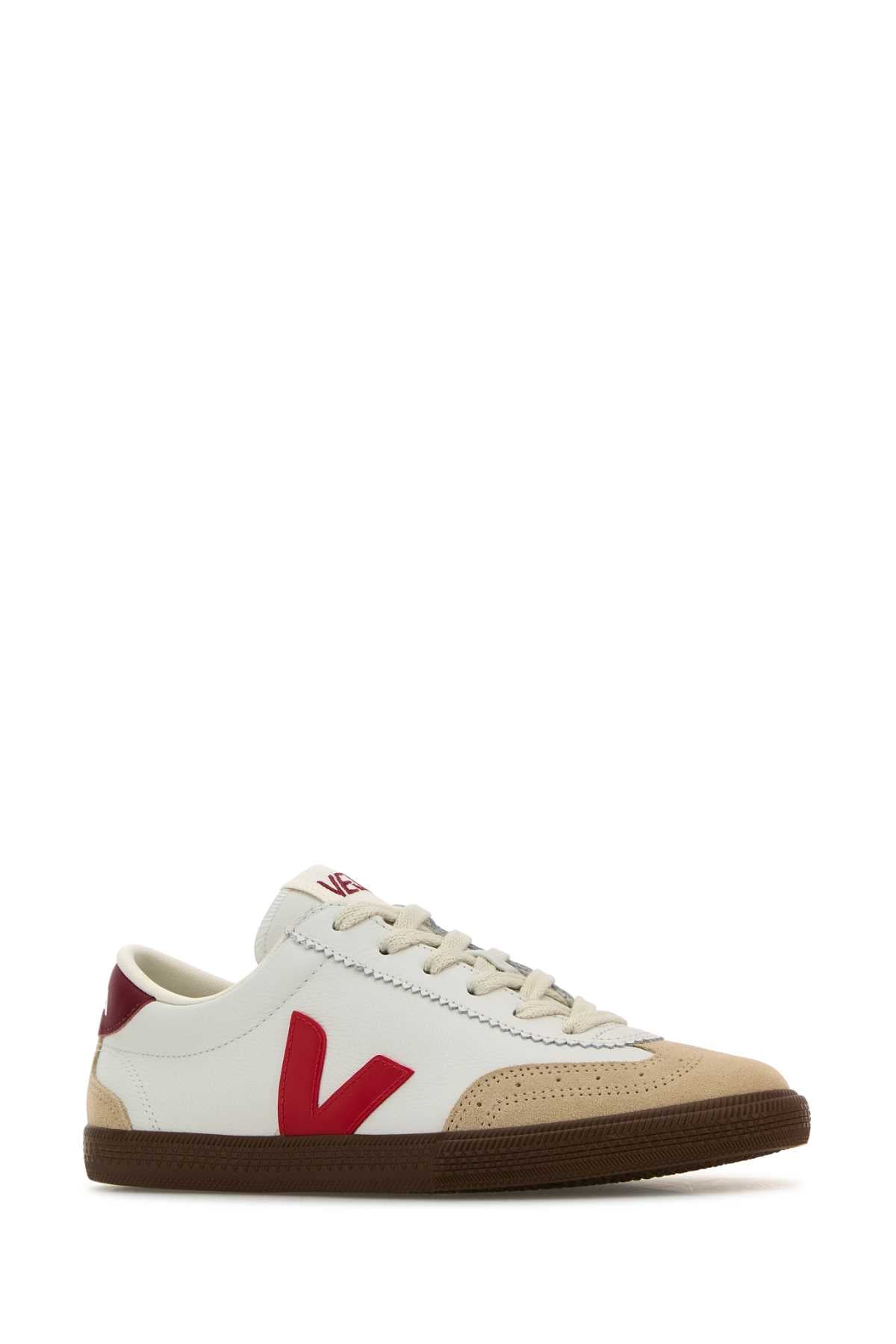 VOLLEY_VO2003533_WHITEPEKINBARK_Image_2