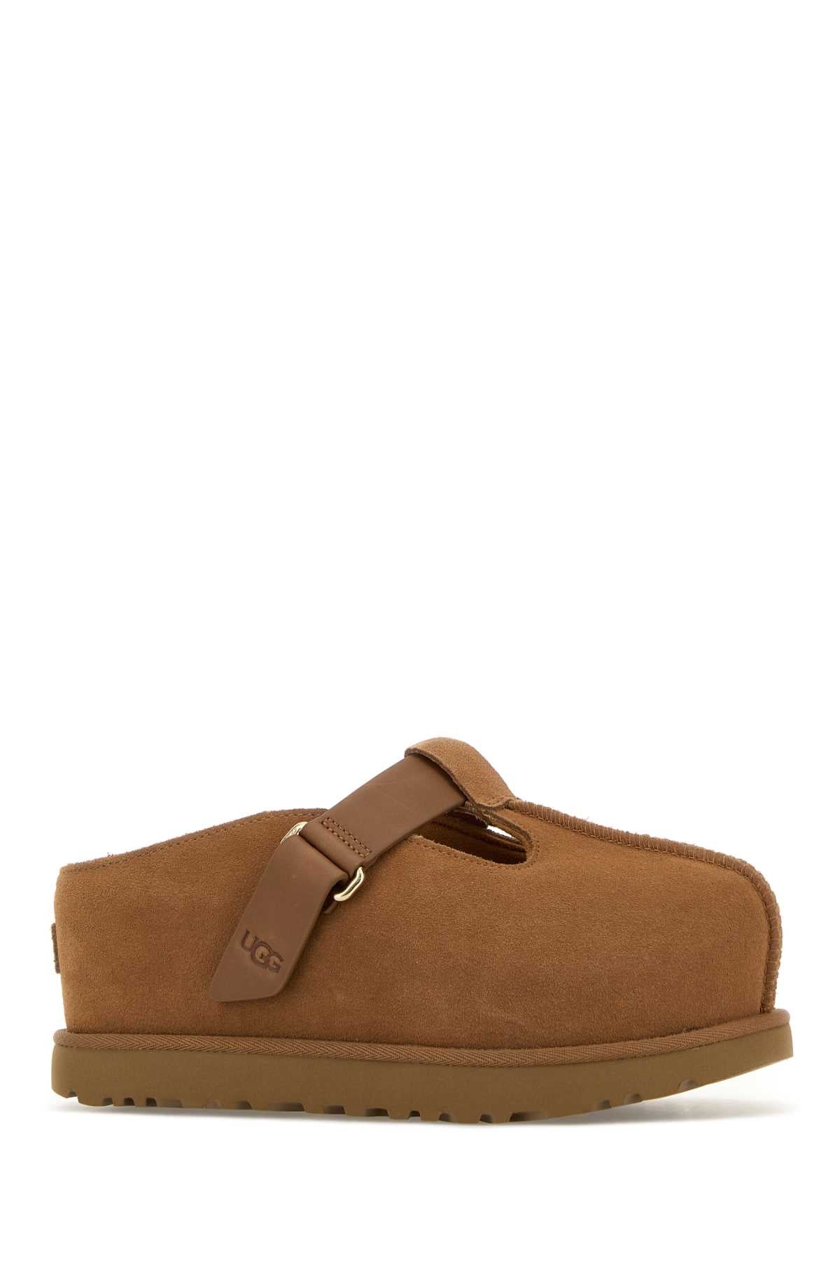 W_GOLDENSTAR_HI_CLOG_1167550_CHE_Image_2