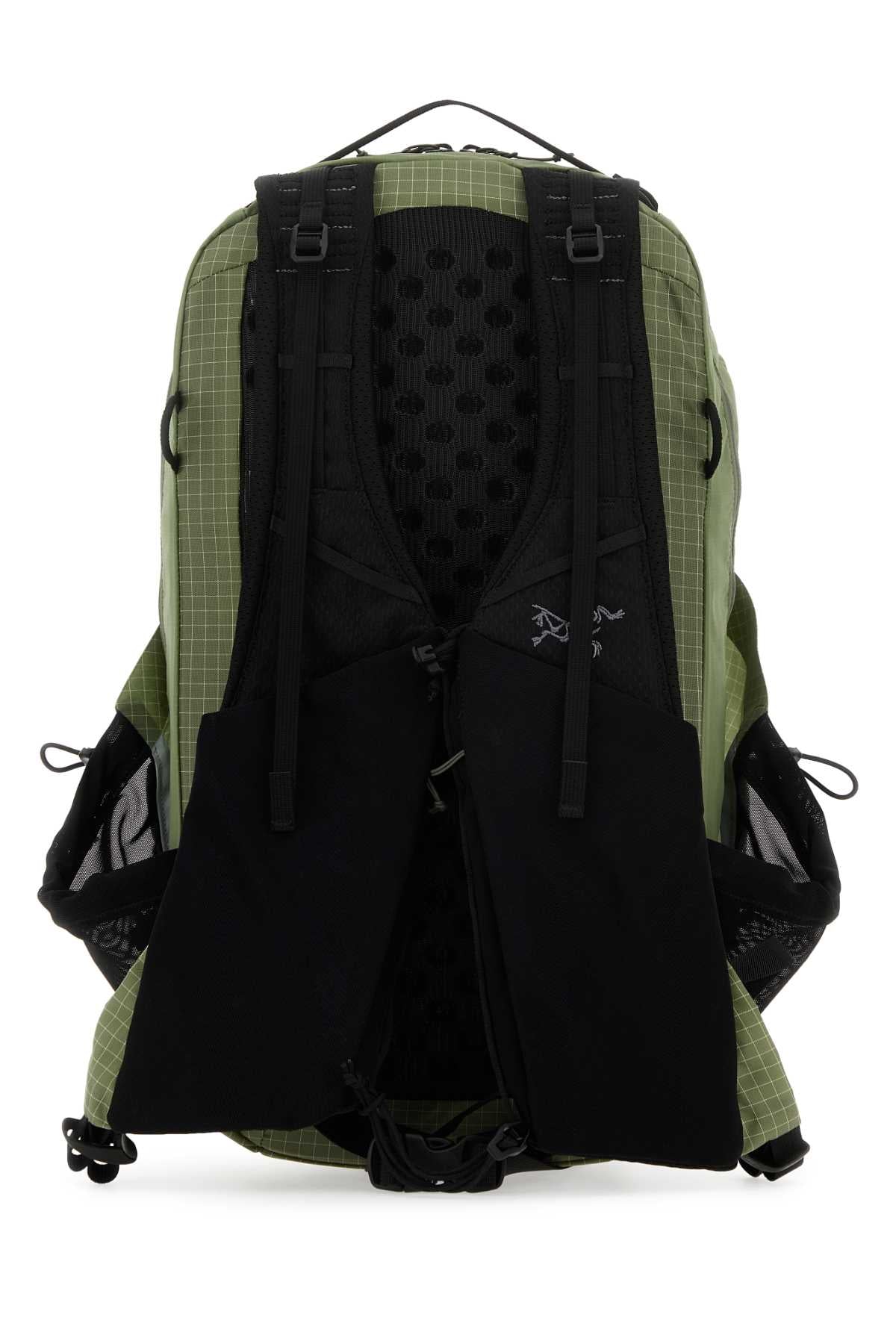 ZAINO_X000007822_CHLFORAGE_Image_3